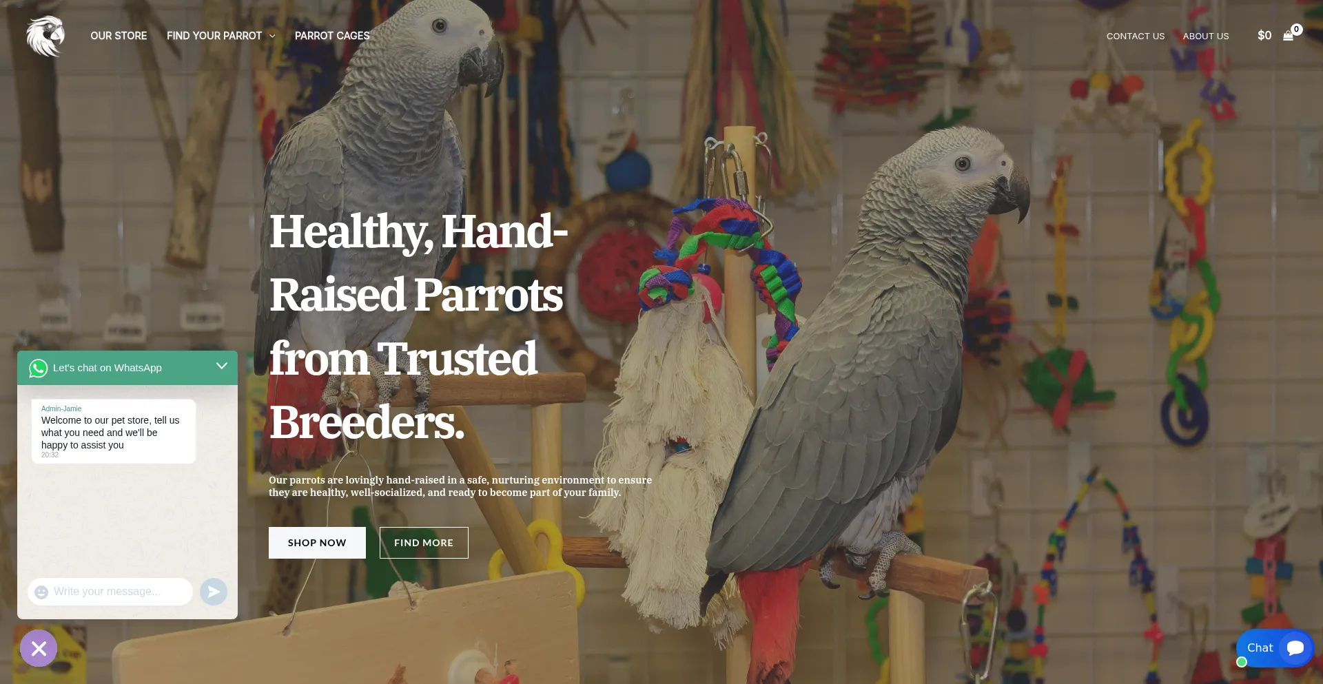 Parrotlovershub.com