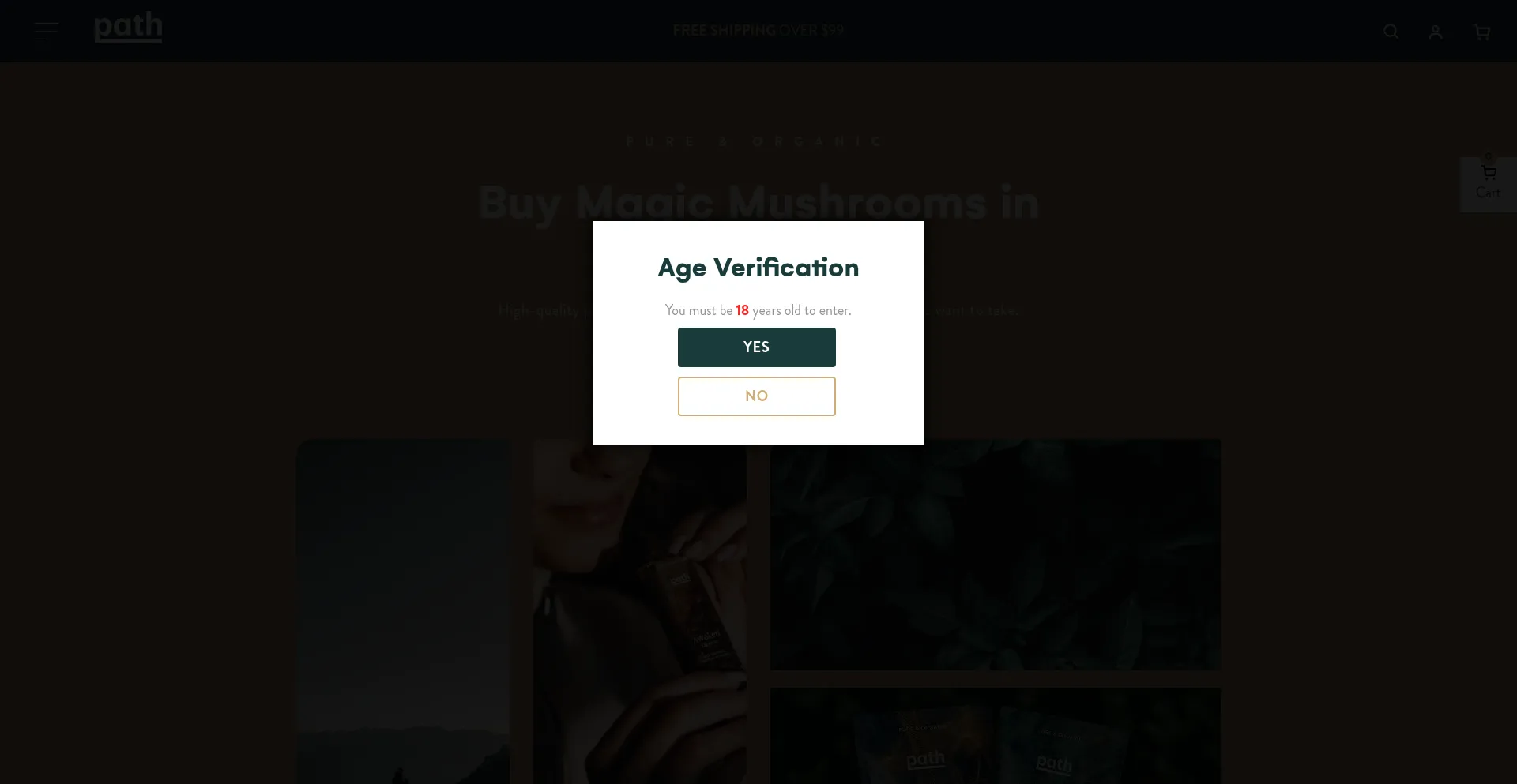 Website screenshot of Pathsupply.ca