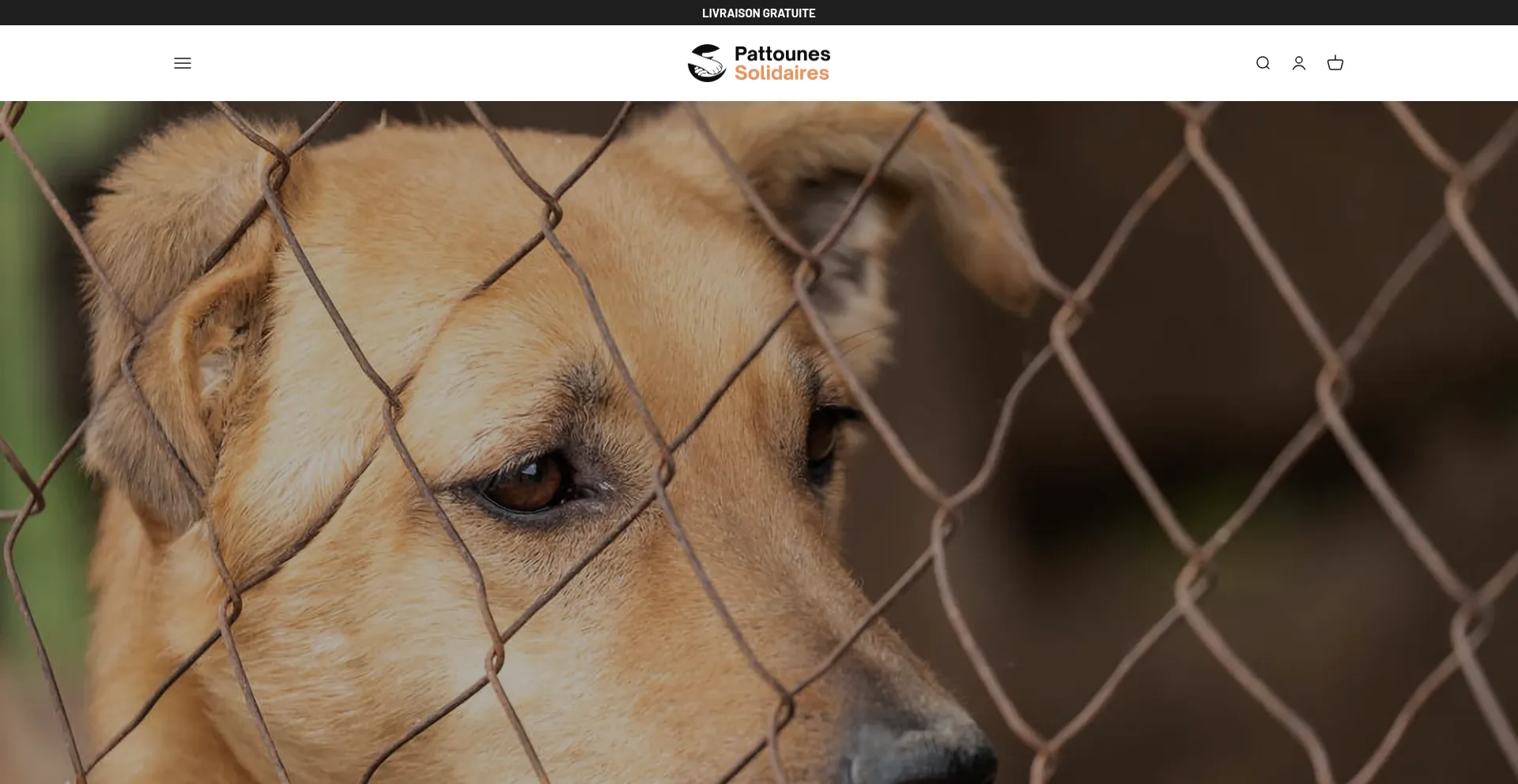 Ist Pattounes-solidaires.com sicher und vertrauenswürdig?