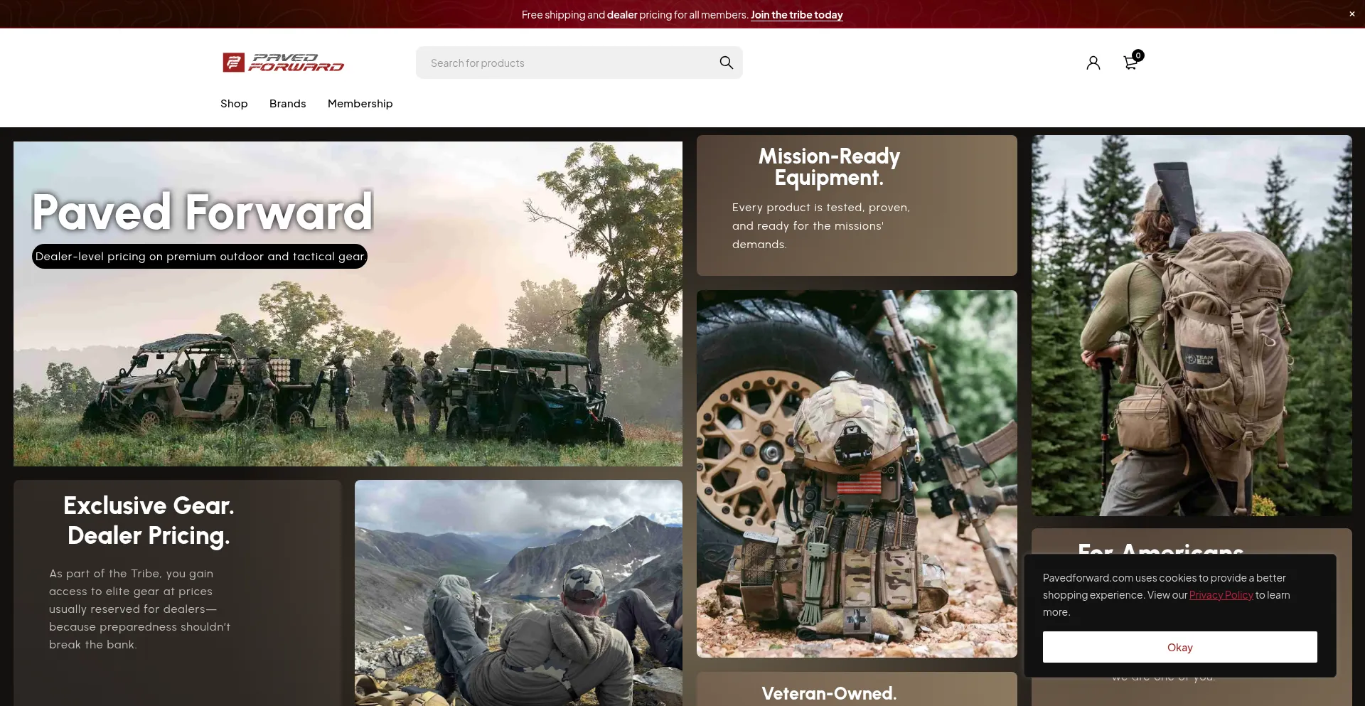 Pavedforward.com Screenshot