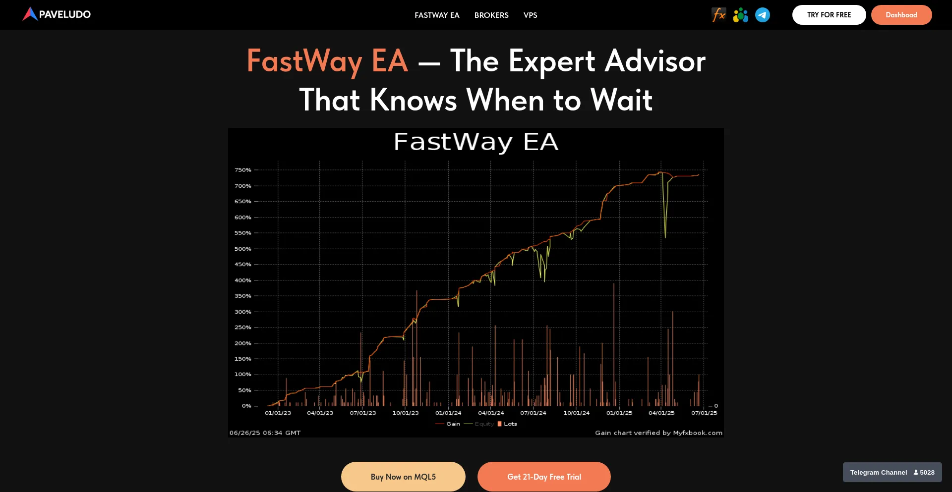 Website screenshot of Paveludo.com