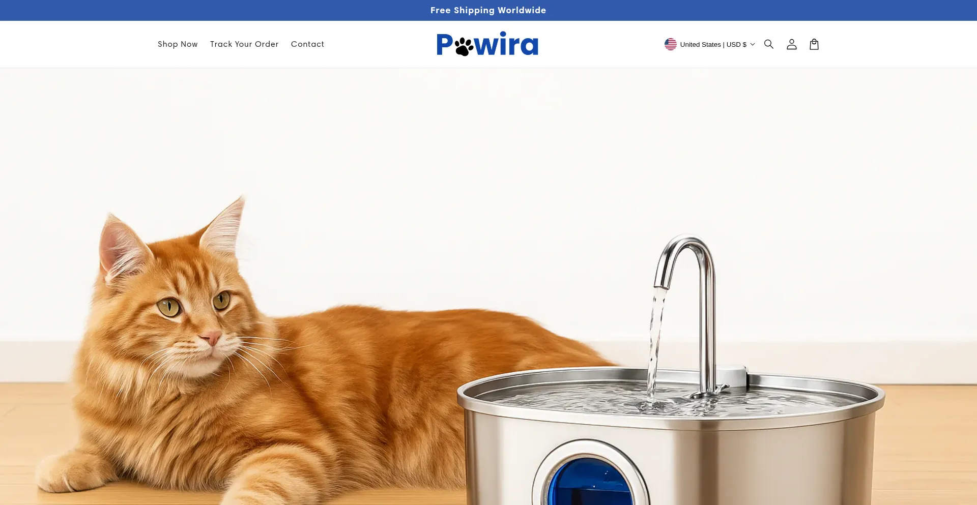 Website screenshot of Pawira.com