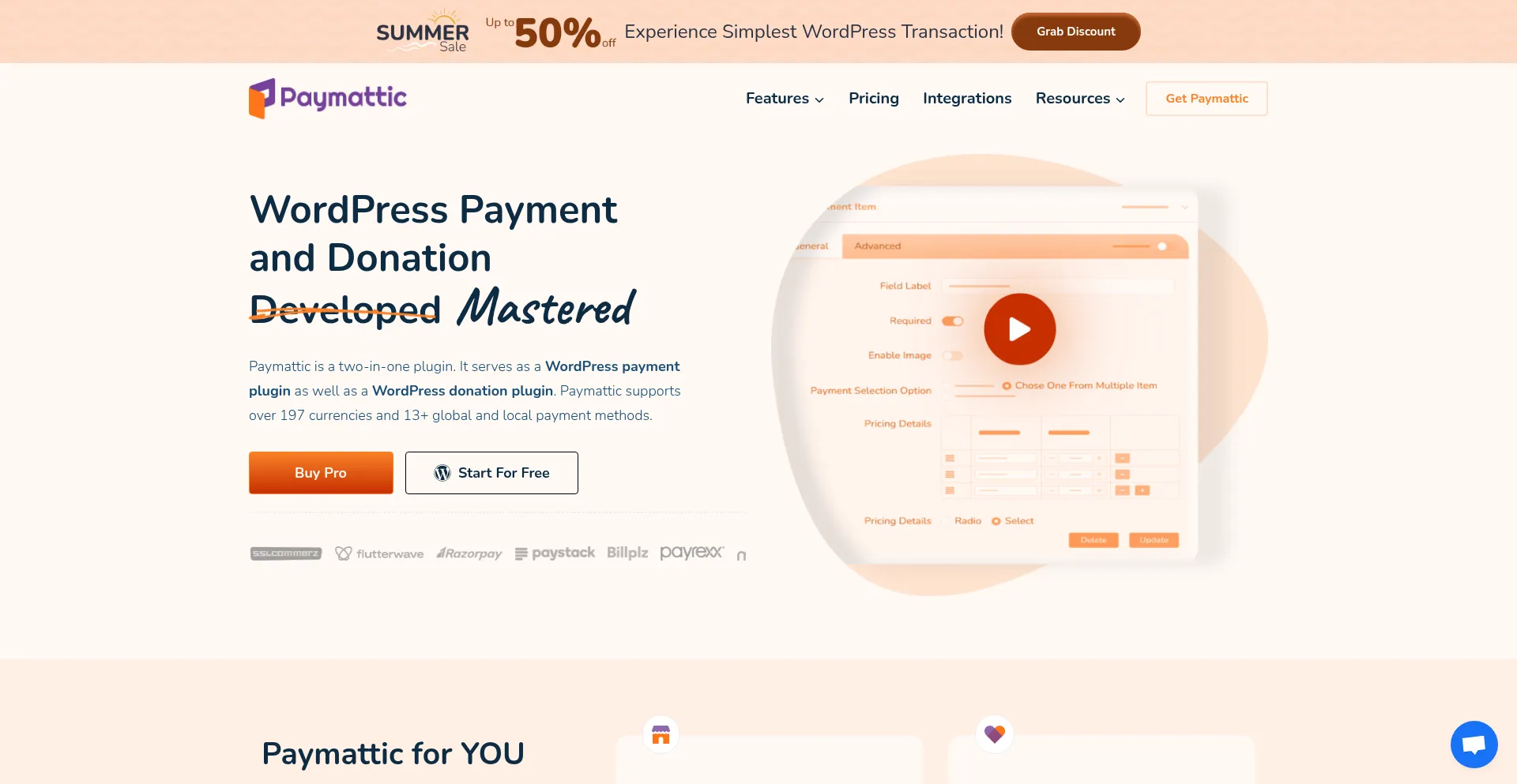 Website screenshot of Paymattic.com