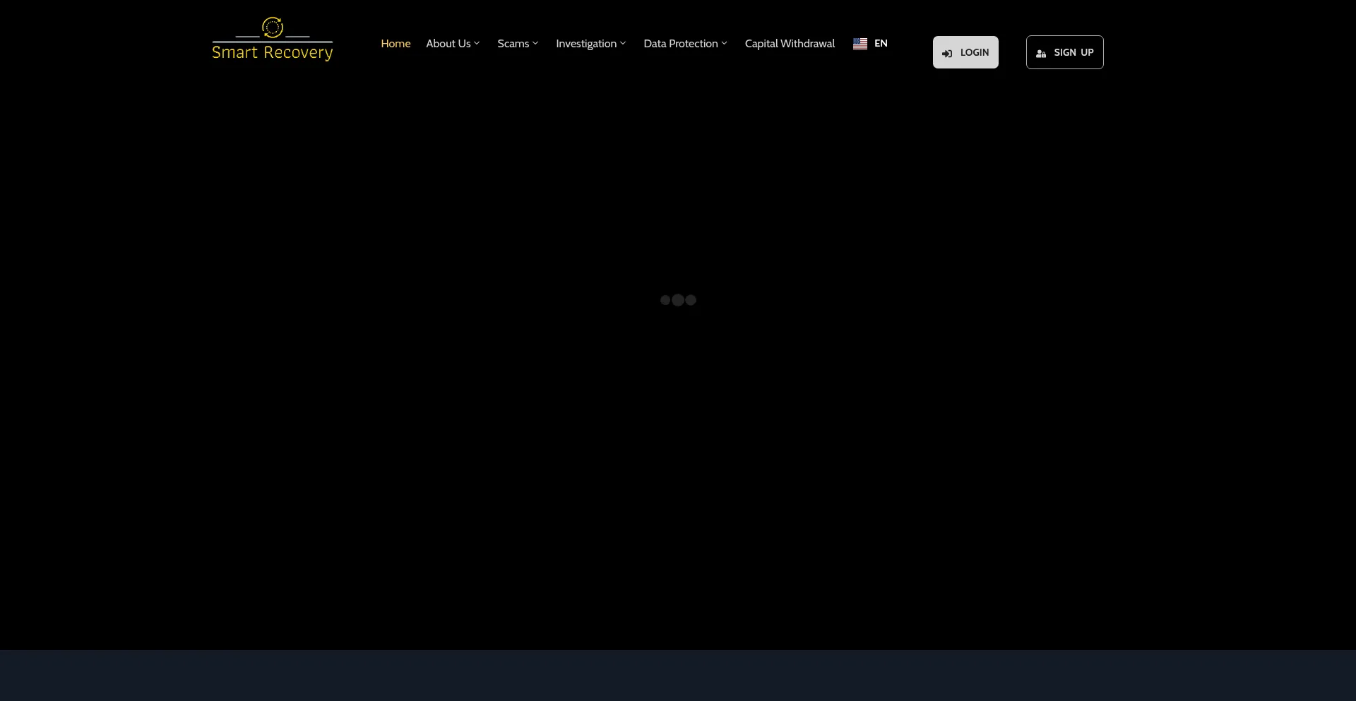 Website screenshot of Payoutsolution.net