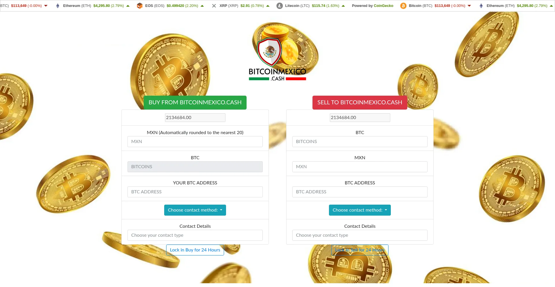 Website screenshot of Payrius.com