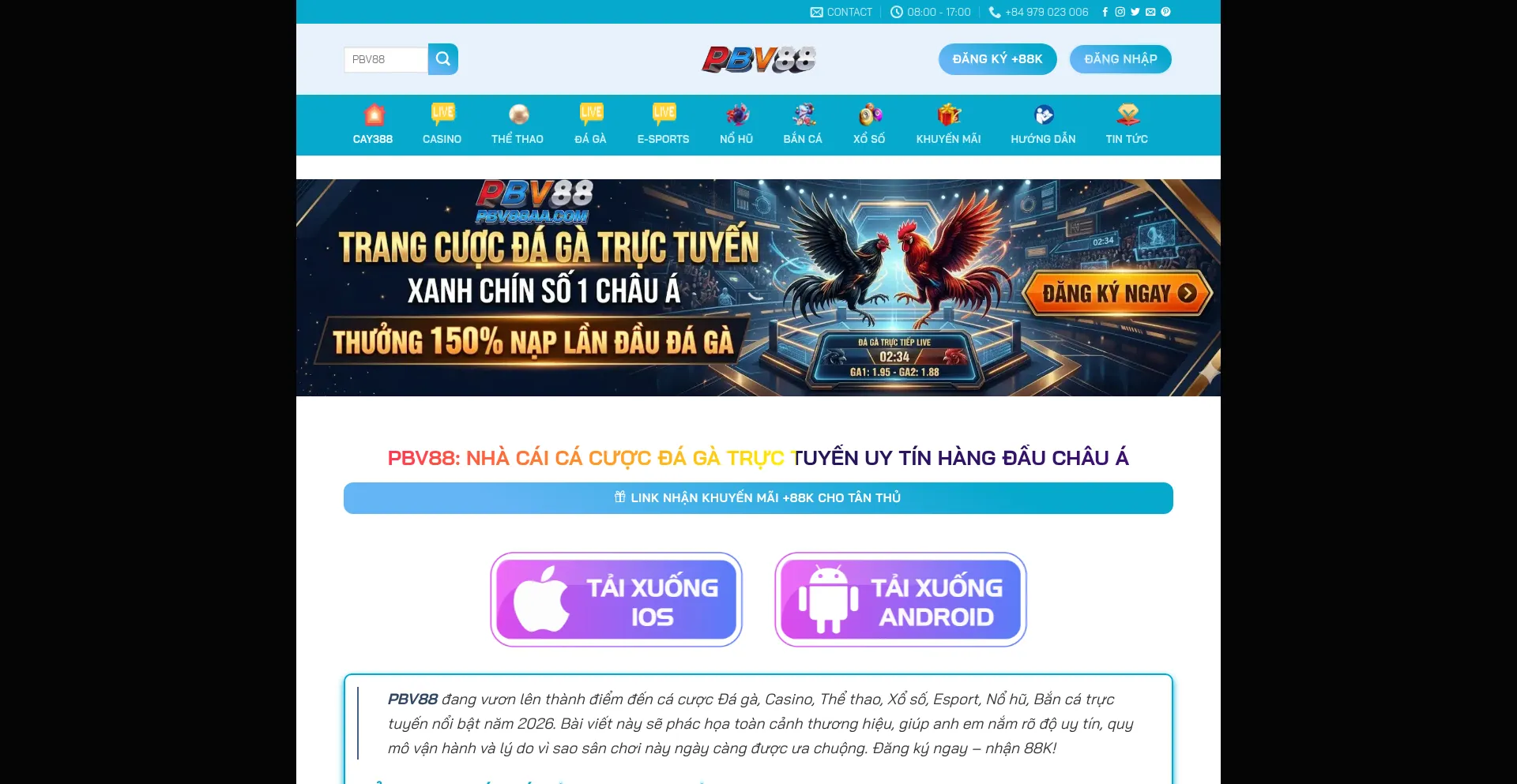 Pbv88aa.com