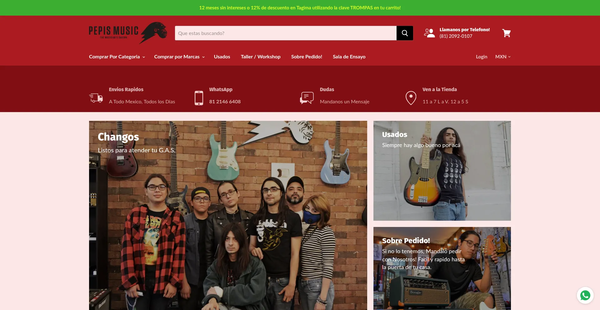 Website screenshot of Pepismusic.mx