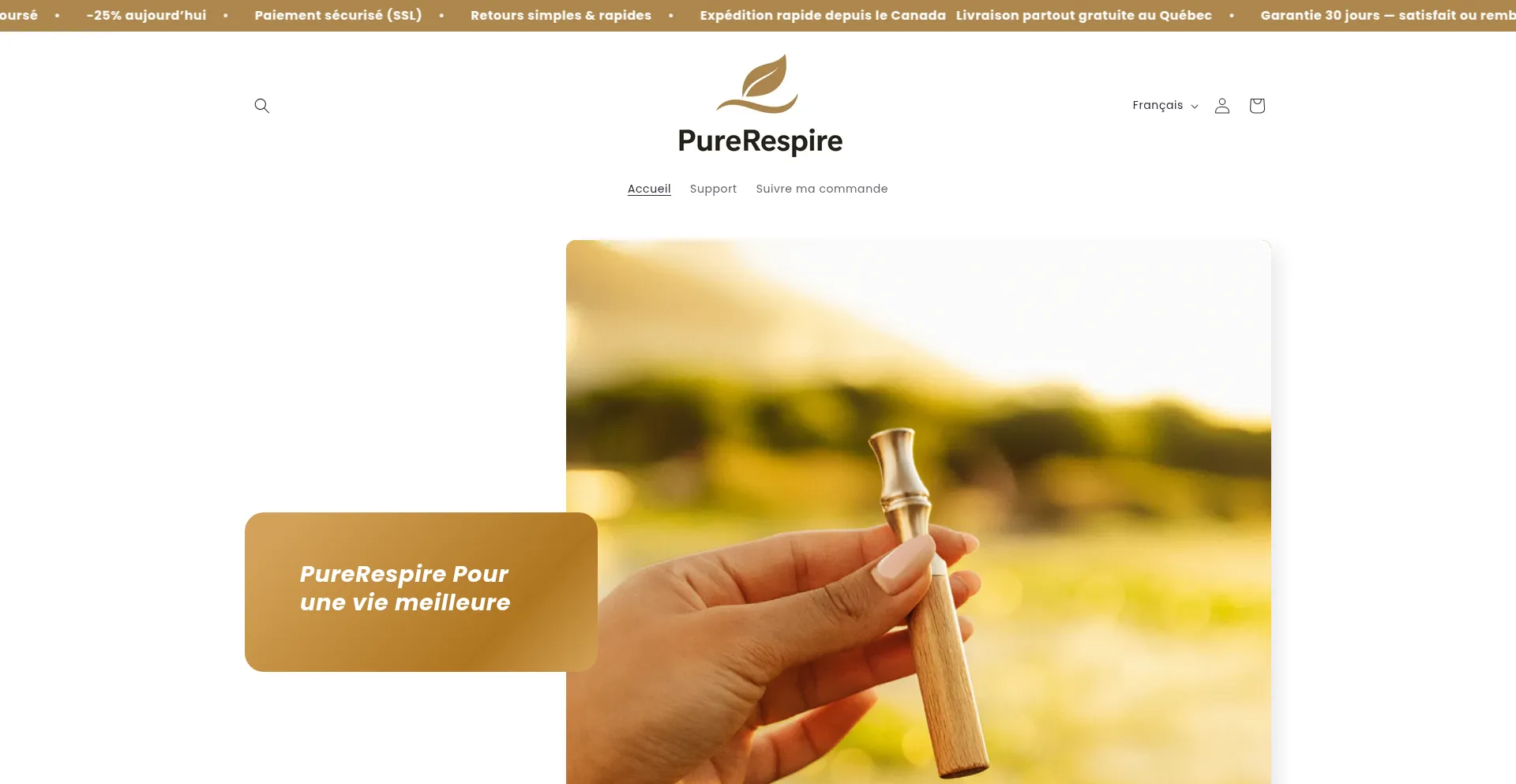 Ist Perlebrush.ca sicher und vertrauenswürdig?