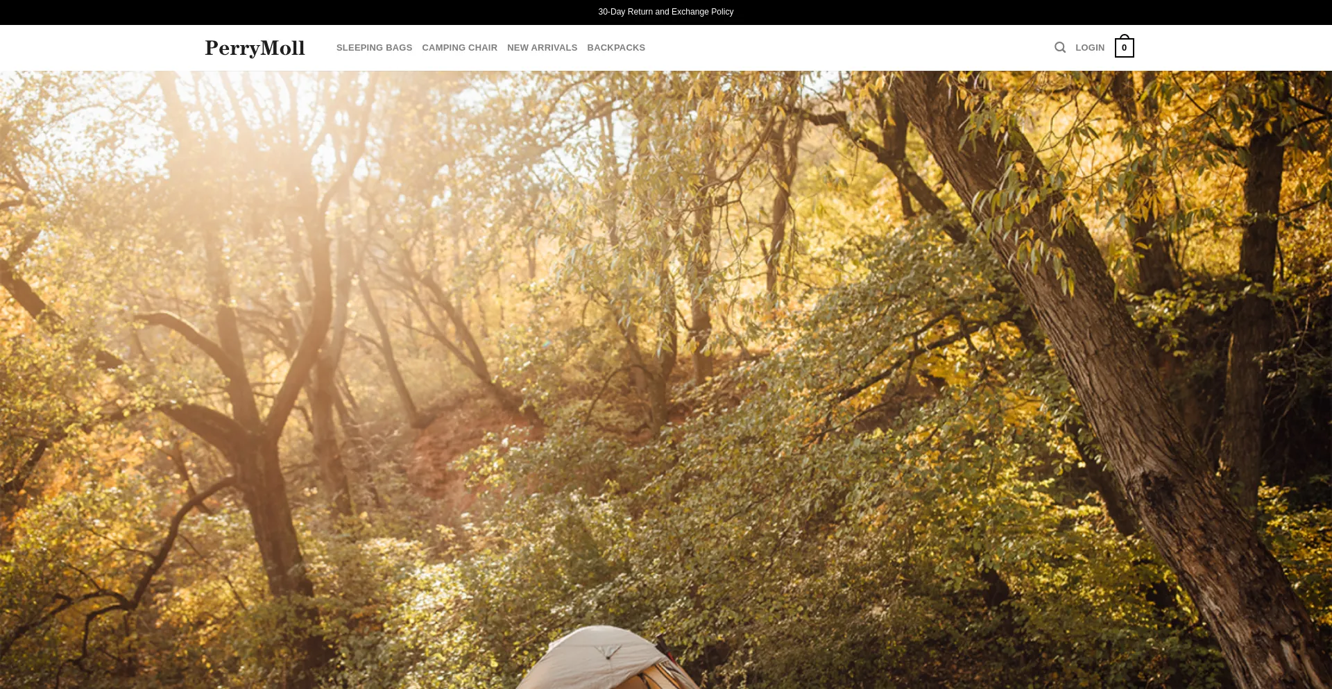 Website screenshot of Perrymoll.com