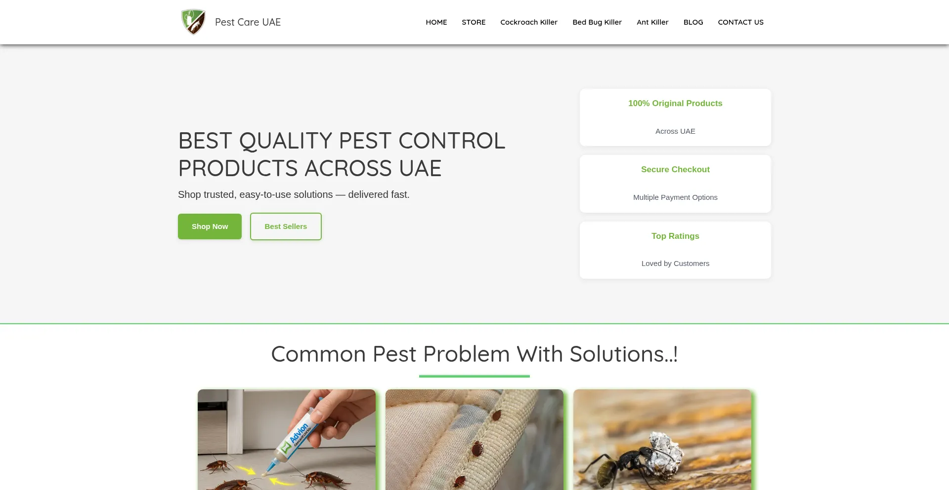 Ist Pestcareuae.com sicher und vertrauenswürdig?