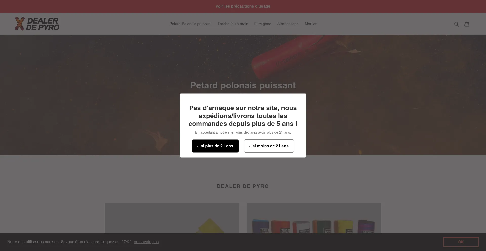 Website screenshot of Petard-polonais-puissant.com
