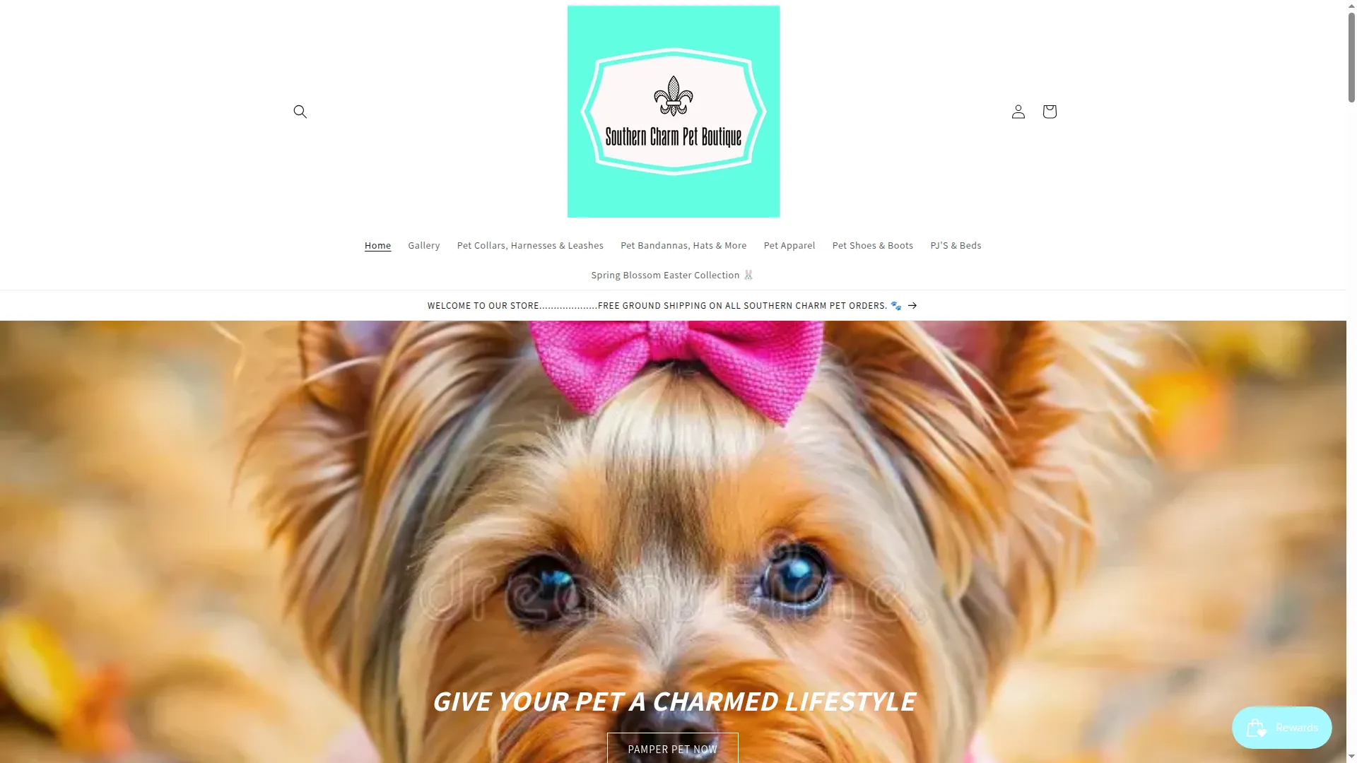 Petpanacheboutique.com