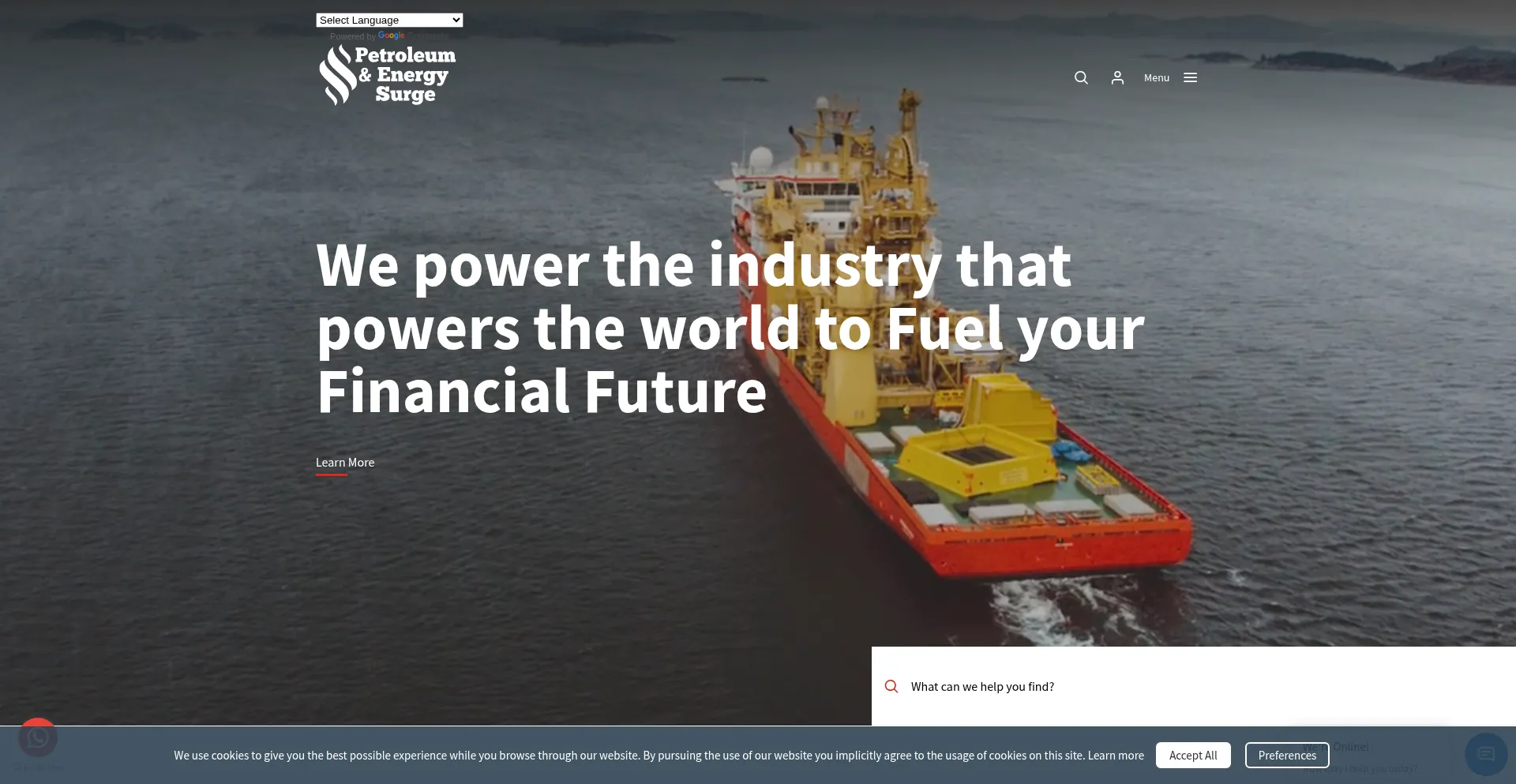 Website screenshot of Petroleumandenergysurges.com
