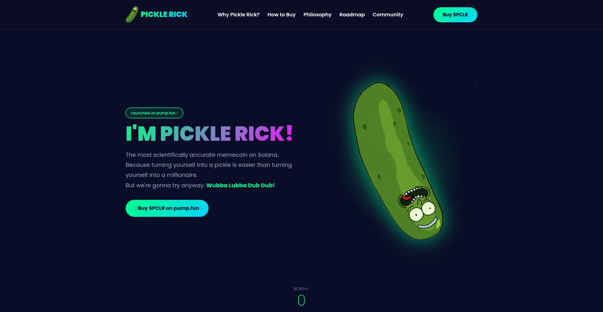Picklerick.site