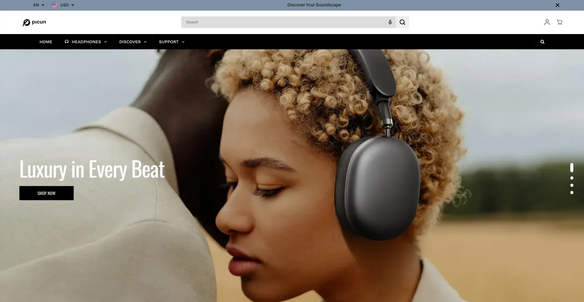 Website screenshot of Picun.com