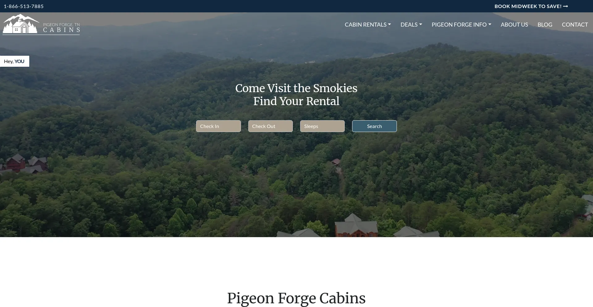 Website screenshot of Pigeonforgetncabins.com