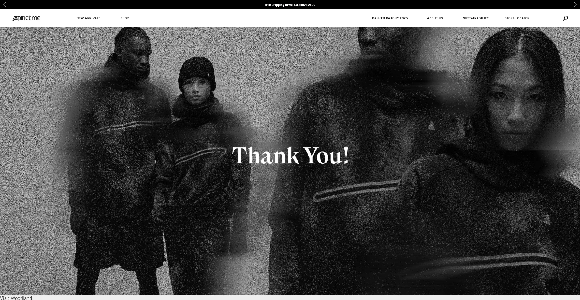 Website screenshot of Pinetimeclothing.com