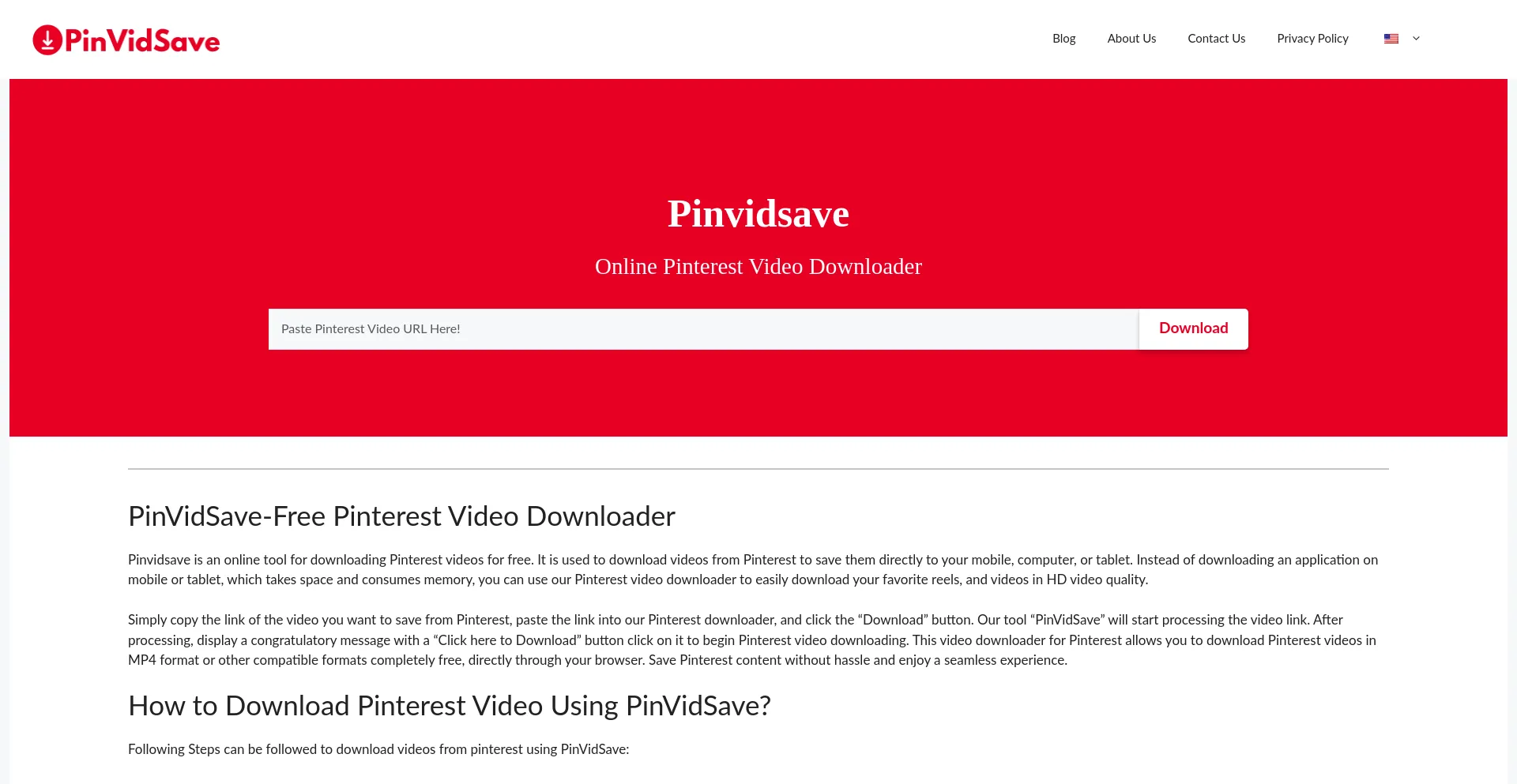 Pinvidsave.com