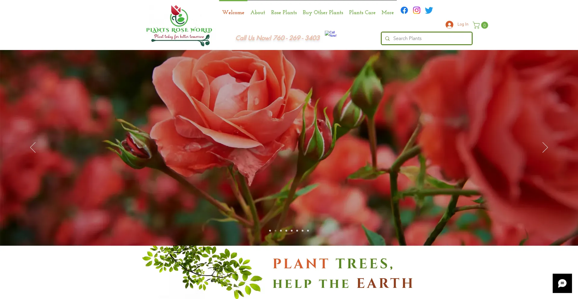 Plantsroseworld.com