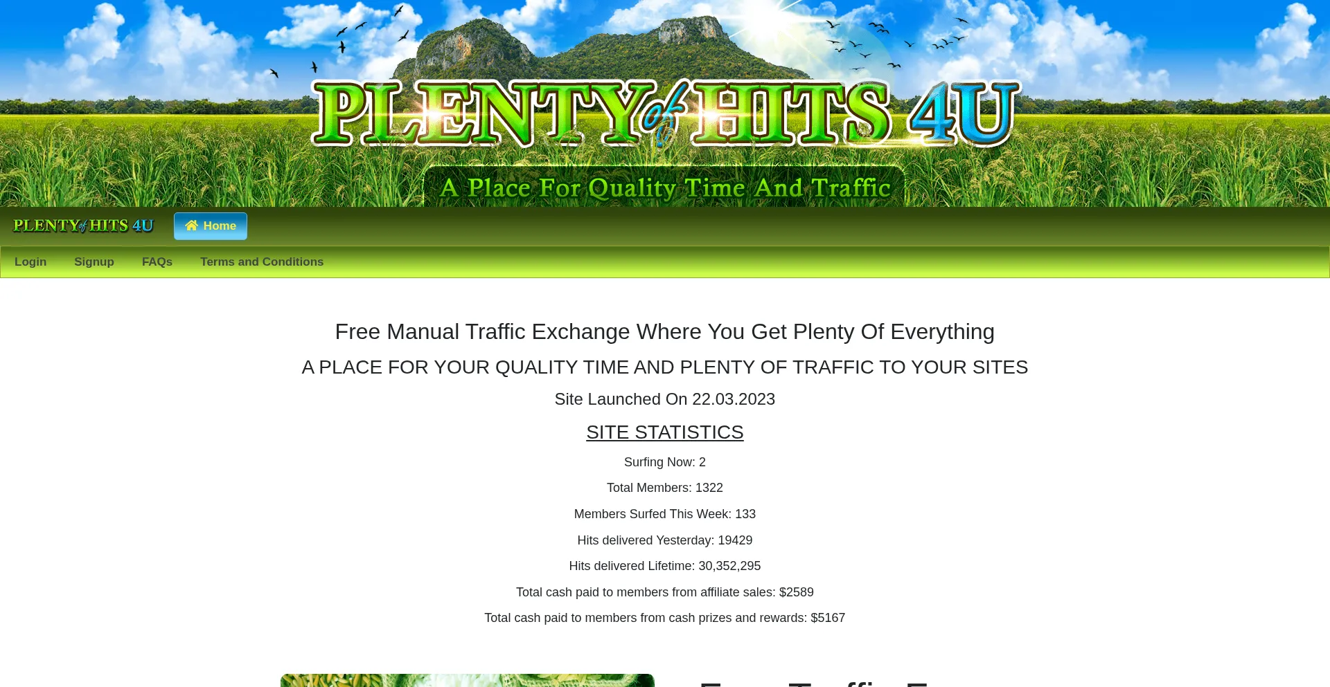 Plentyofhits4u.com