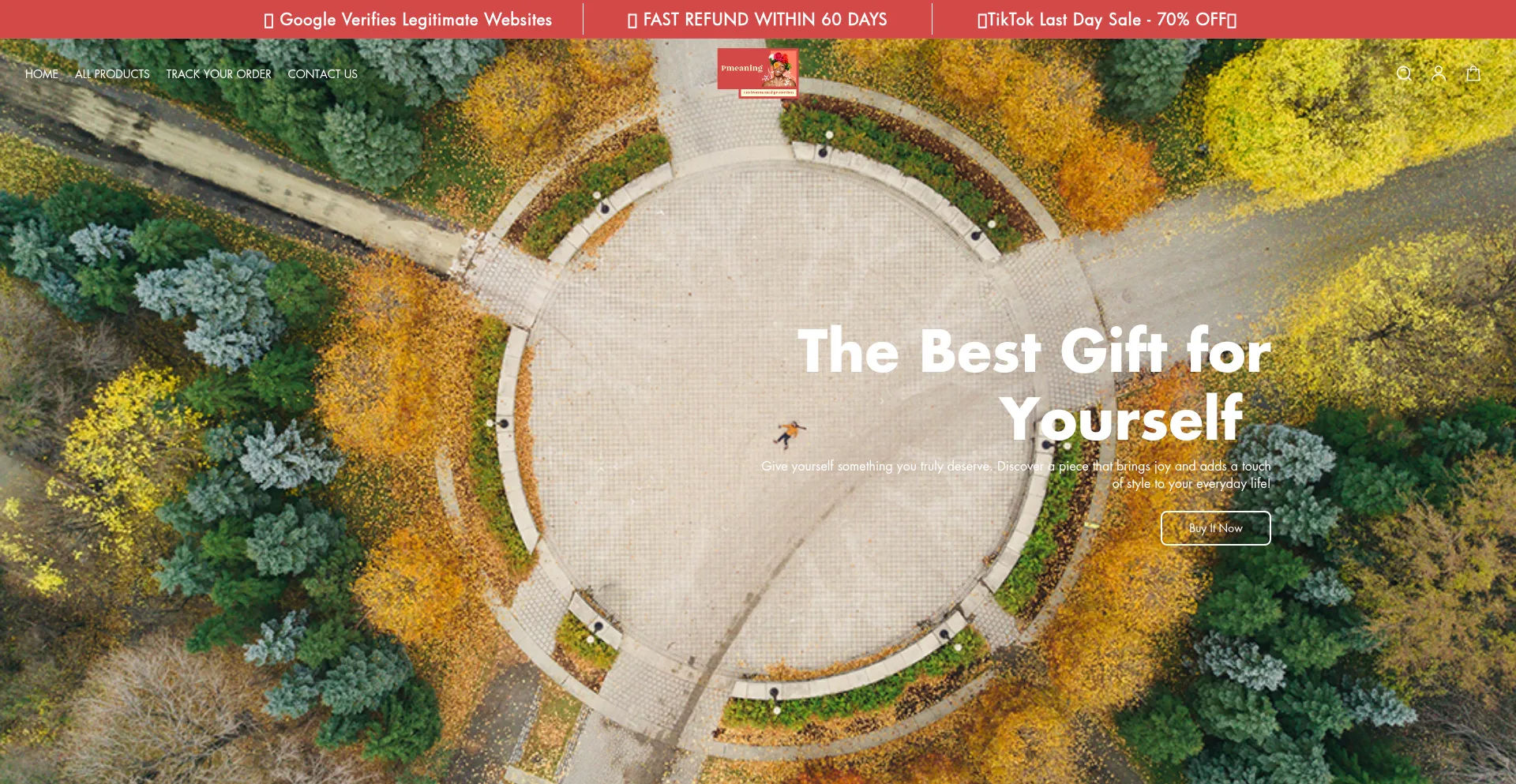Website screenshot of Pmeaning.com