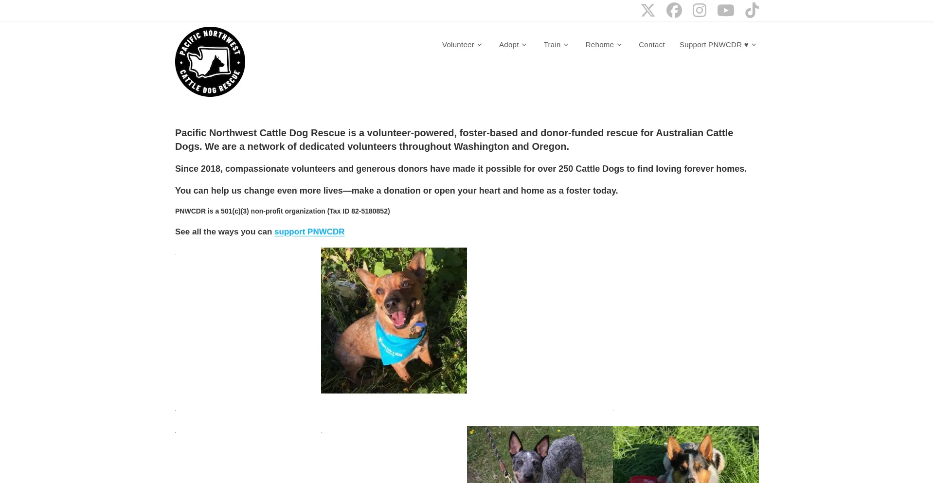 Pnwcdr.org