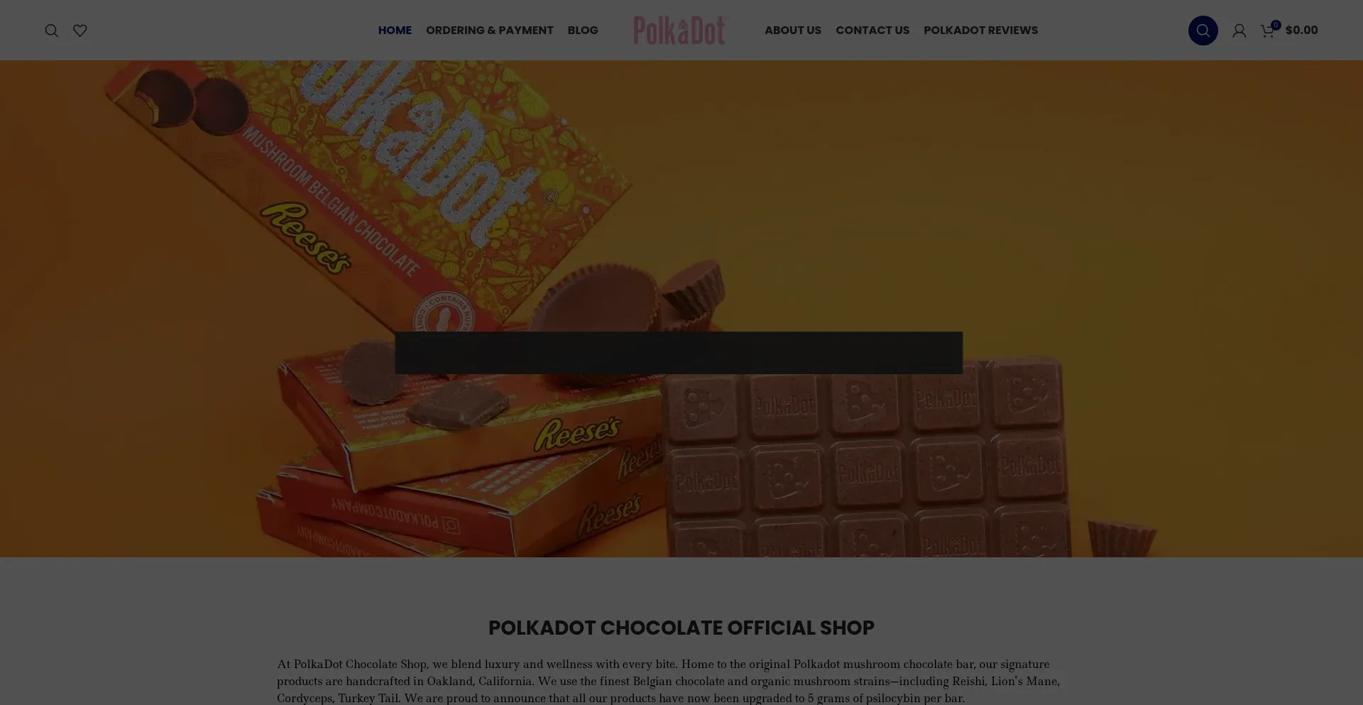 Website screenshot of Polkadotsofficialshop.com