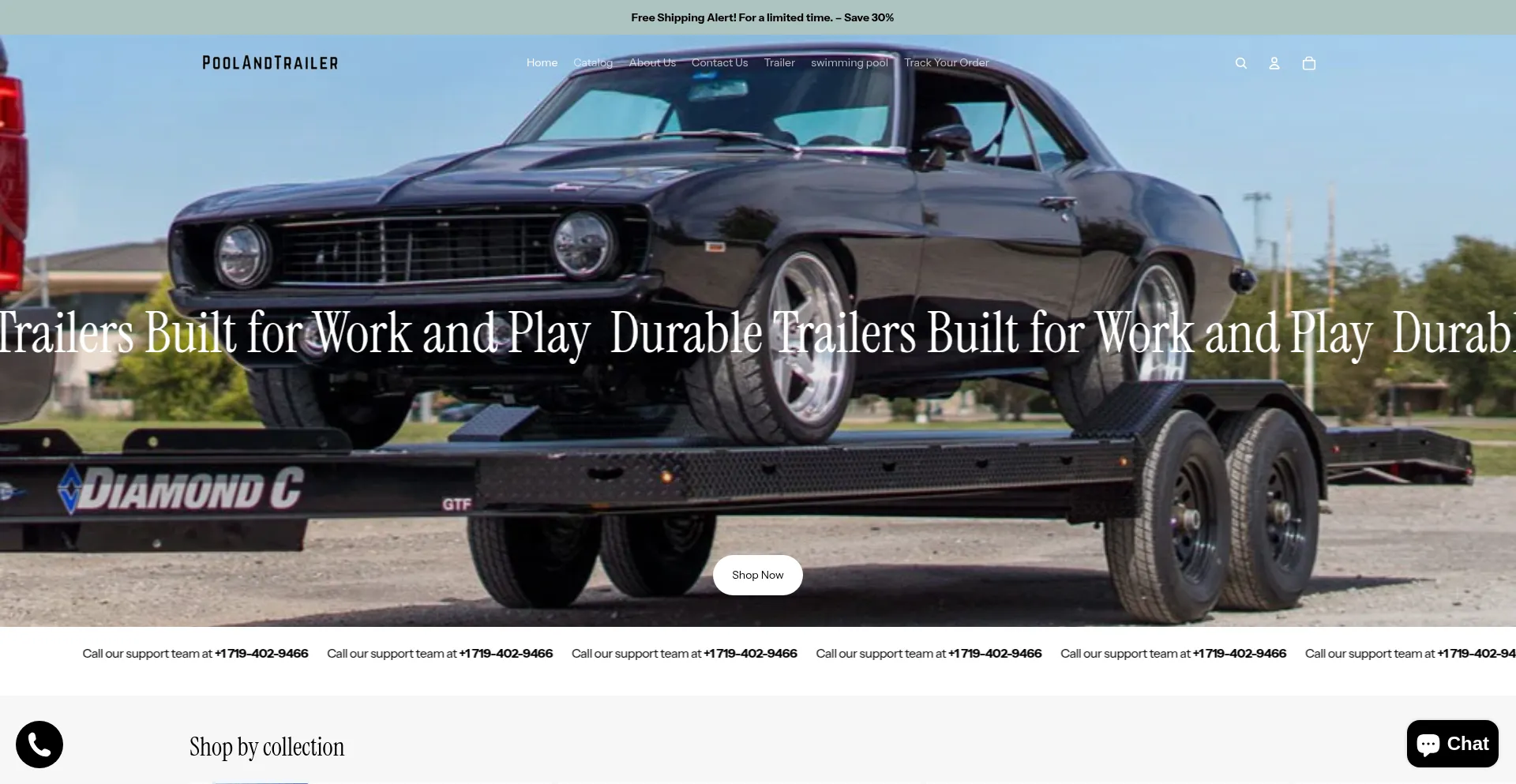 Website screenshot of Poolandtrailer.shop