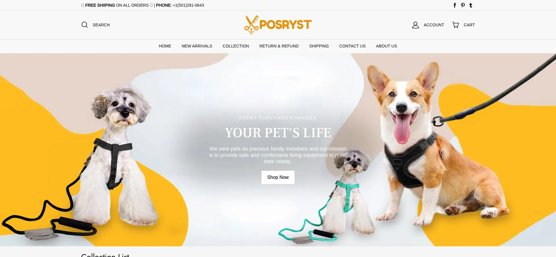 Website screenshot of Posryst.com