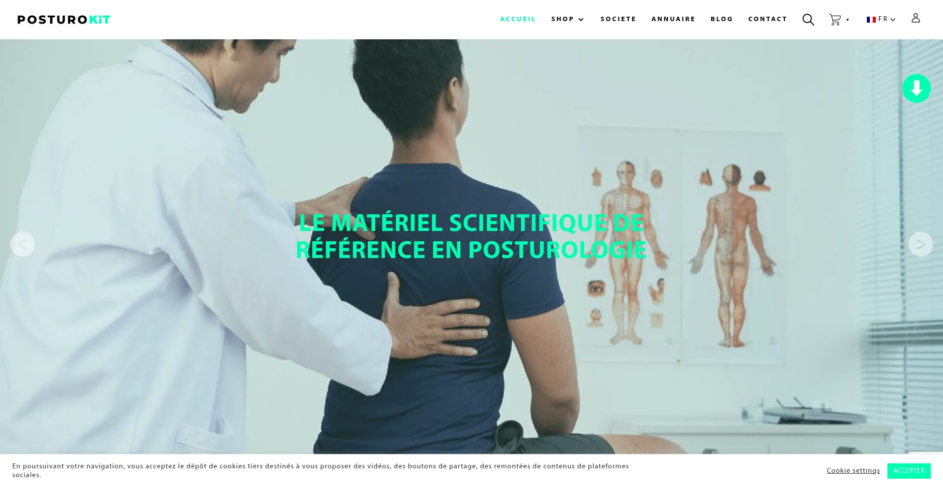 Website screenshot of Posturokit.com