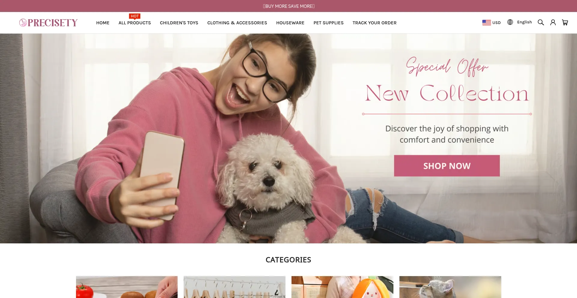 Precisety.com