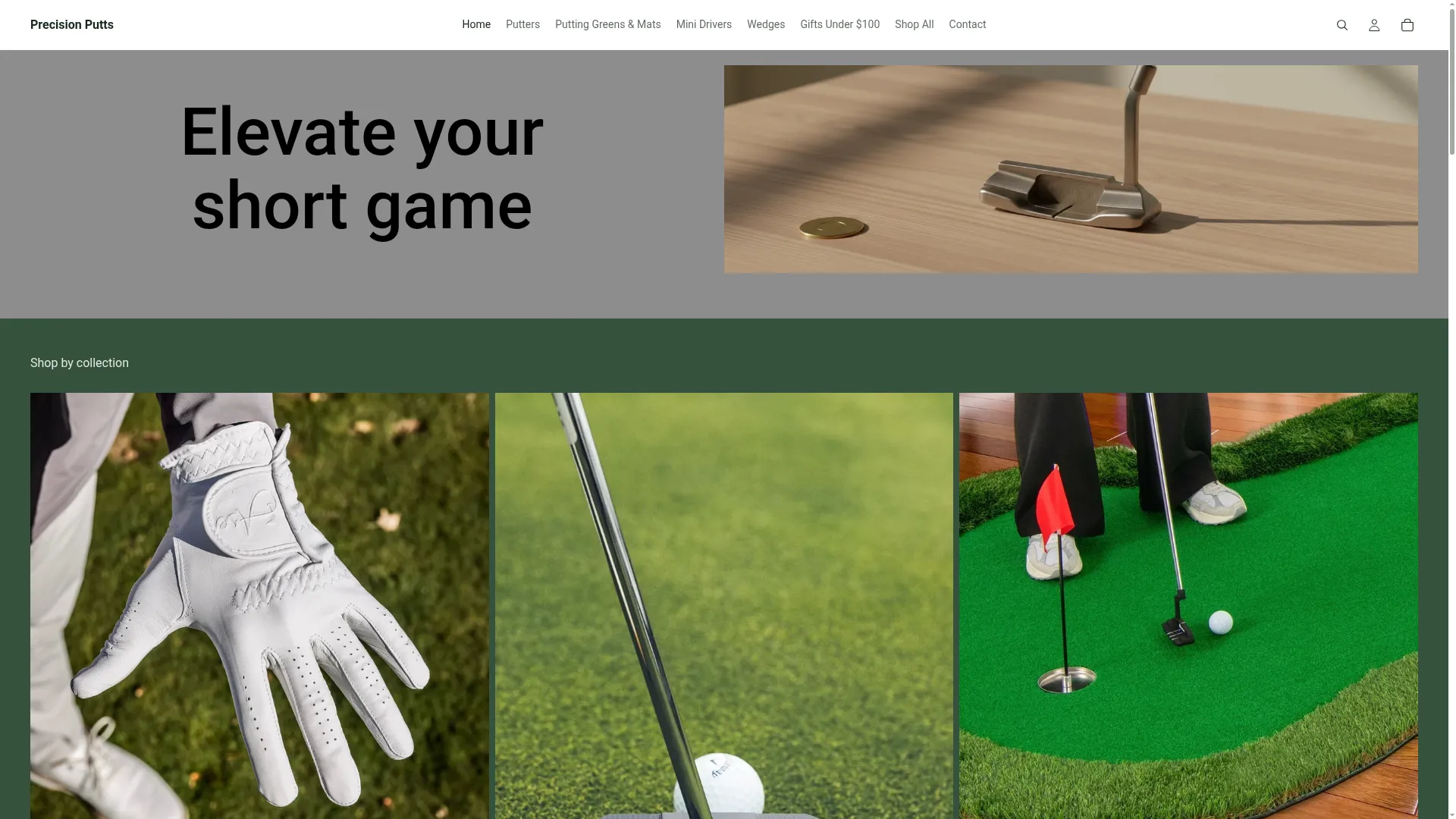 Precisionputts.com