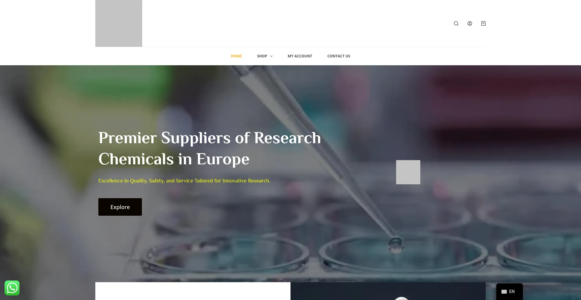 Primegloballab.com