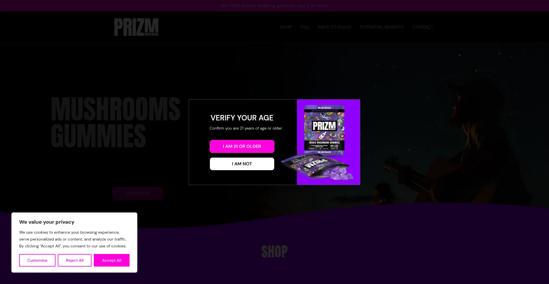 Website screenshot of Prizmmicros.com