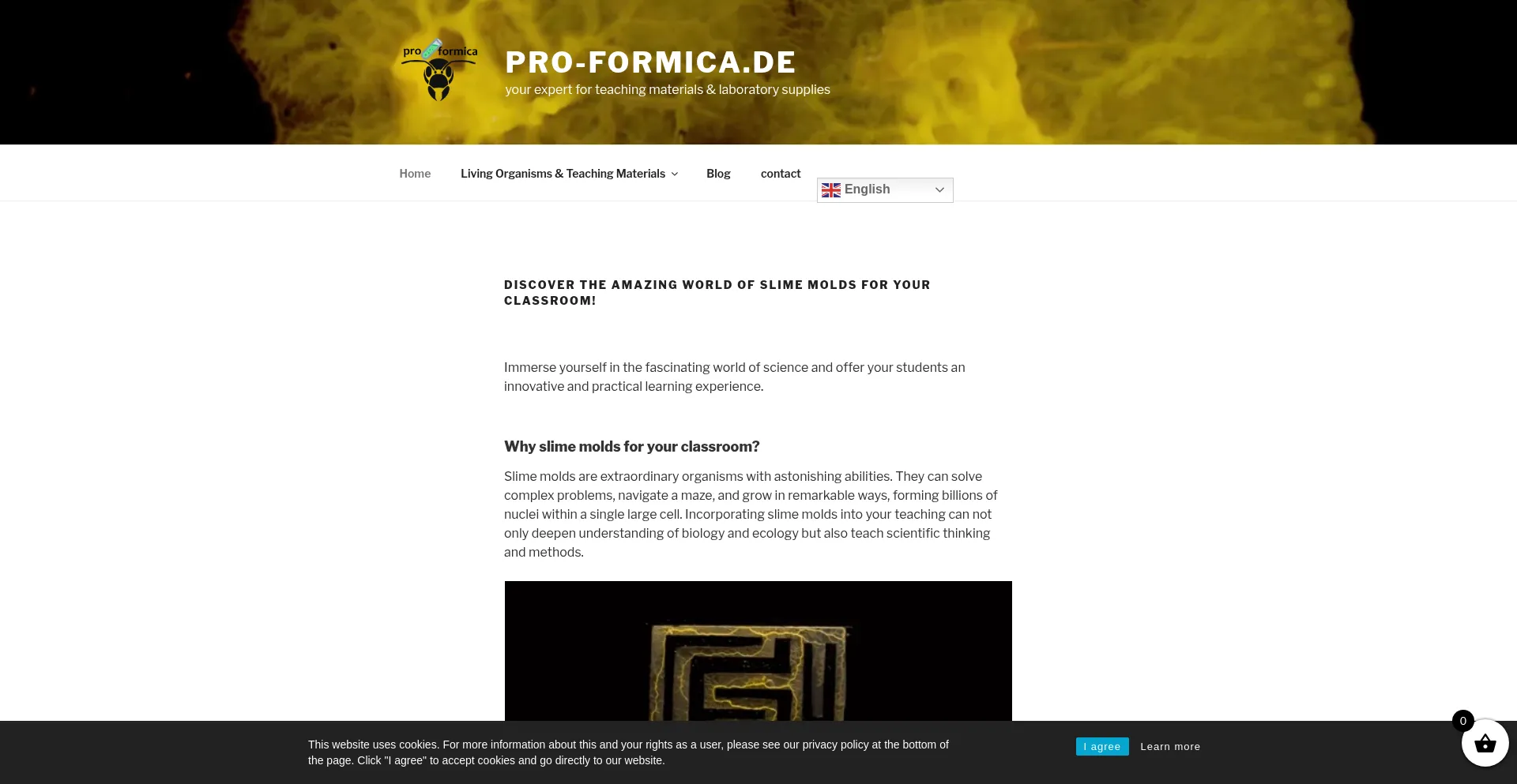 Website screenshot of Pro-formica.de