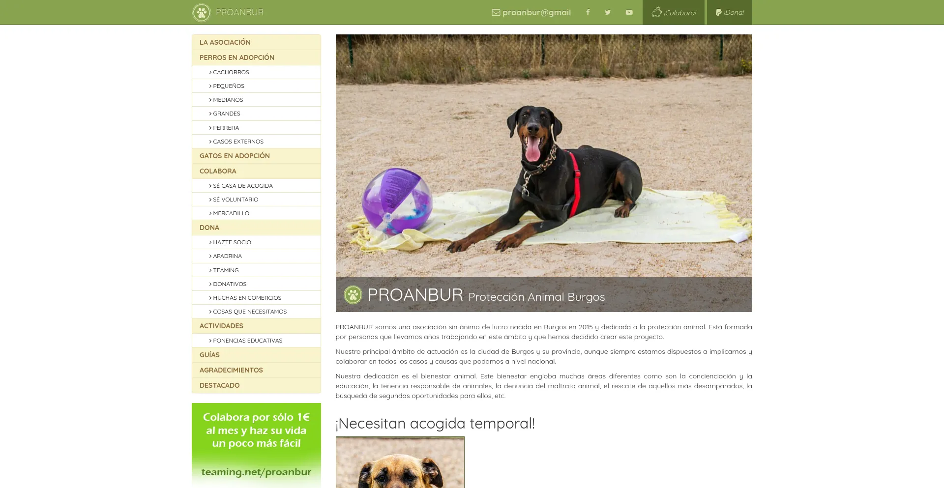Ist Proanbur.com sicher und vertrauenswürdig?