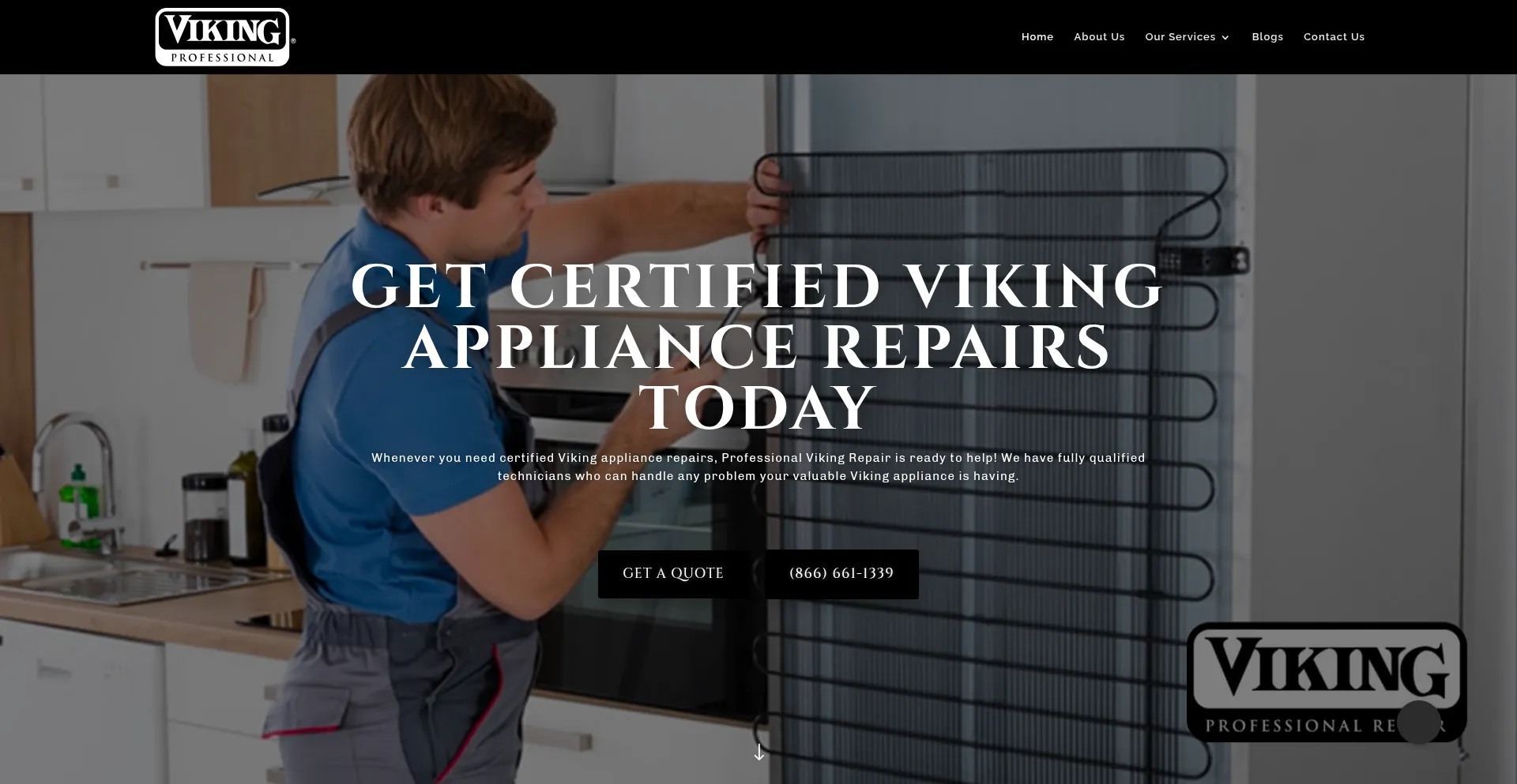 Professionalvikingrepair.com