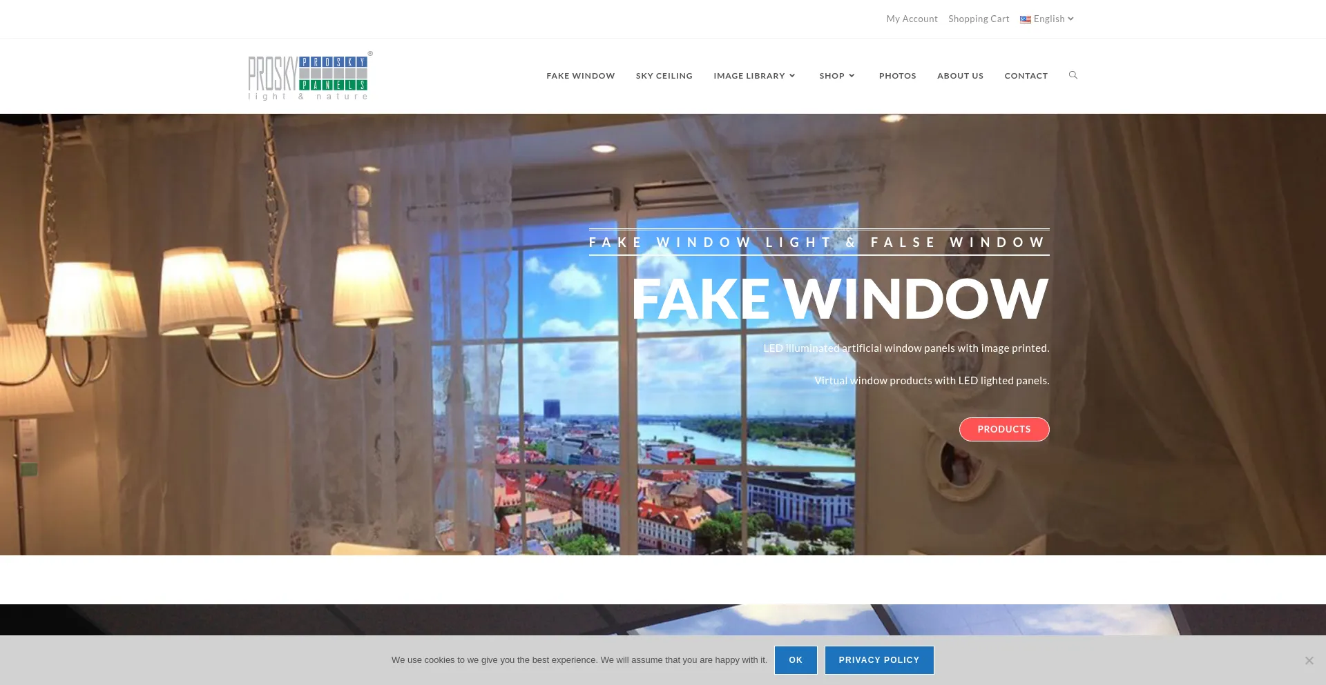 Website screenshot of Proskypanels.com