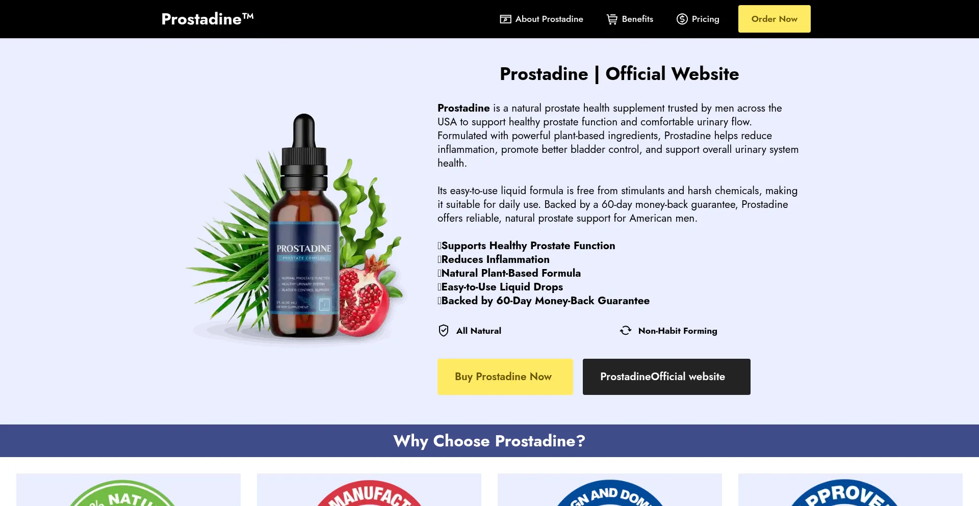 Prostadinee-en.com