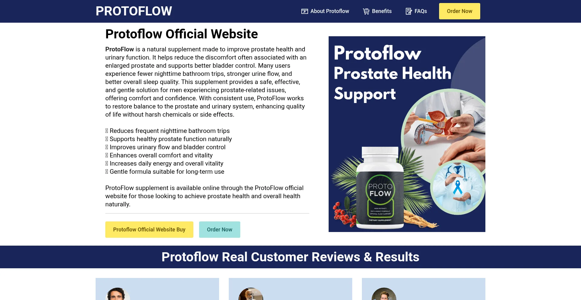 Protoflows.us