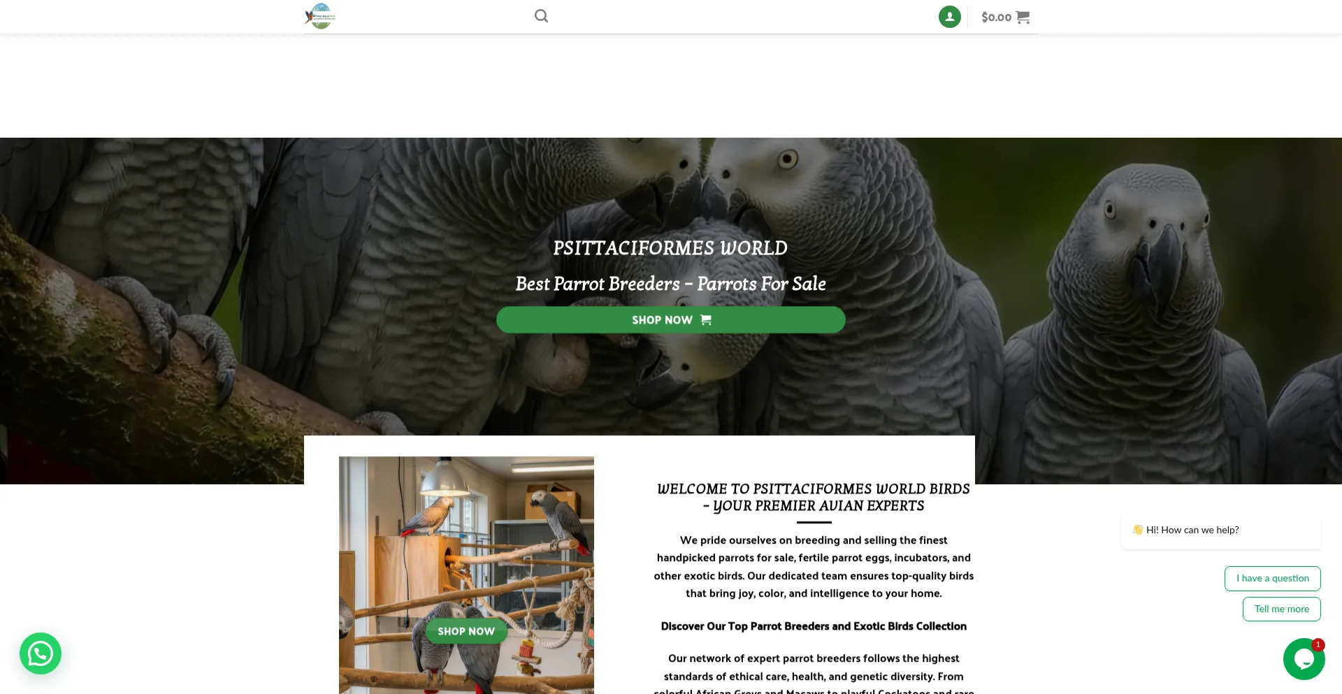 Psittaciformesworld.com