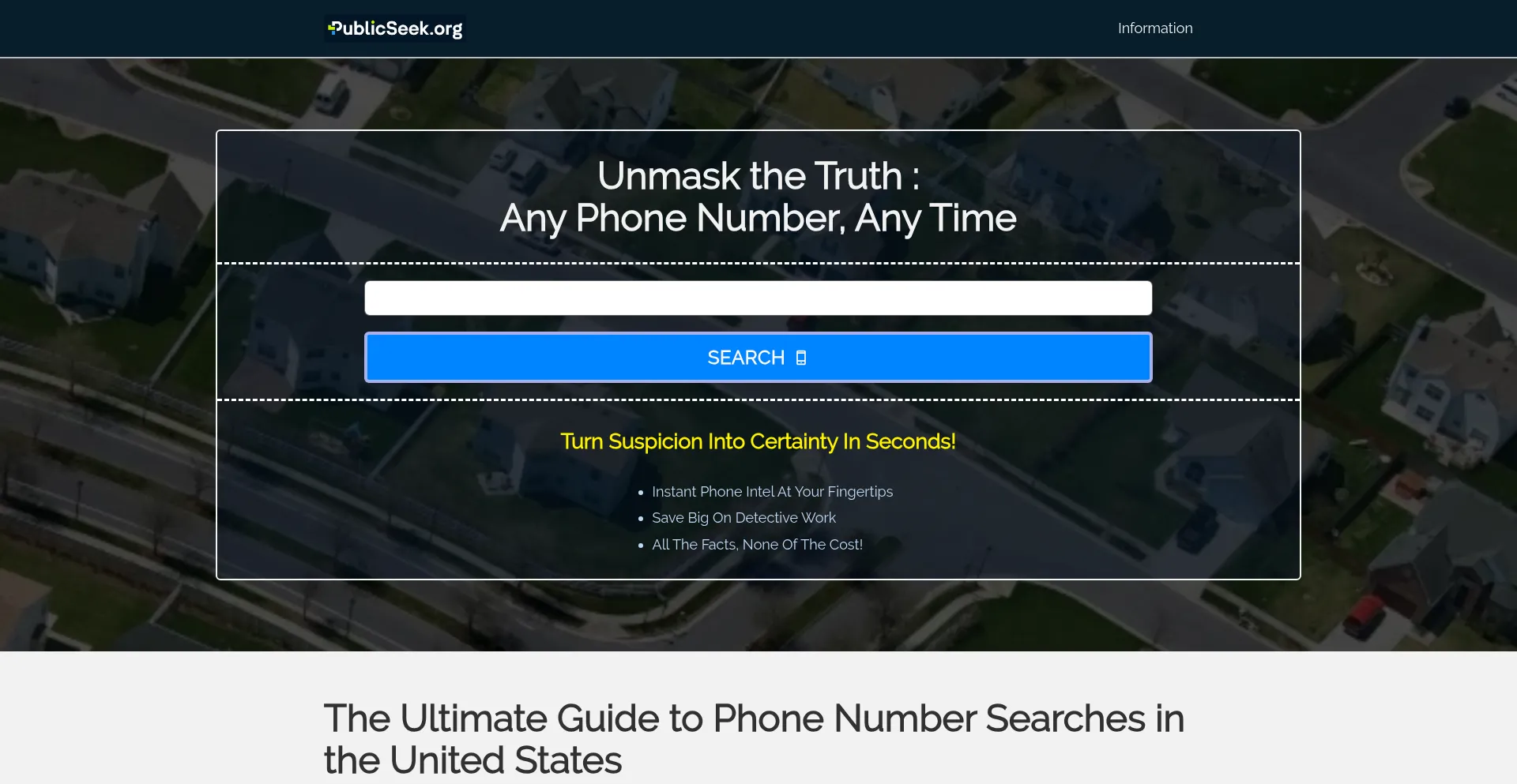 Website screenshot of Publicseek.org