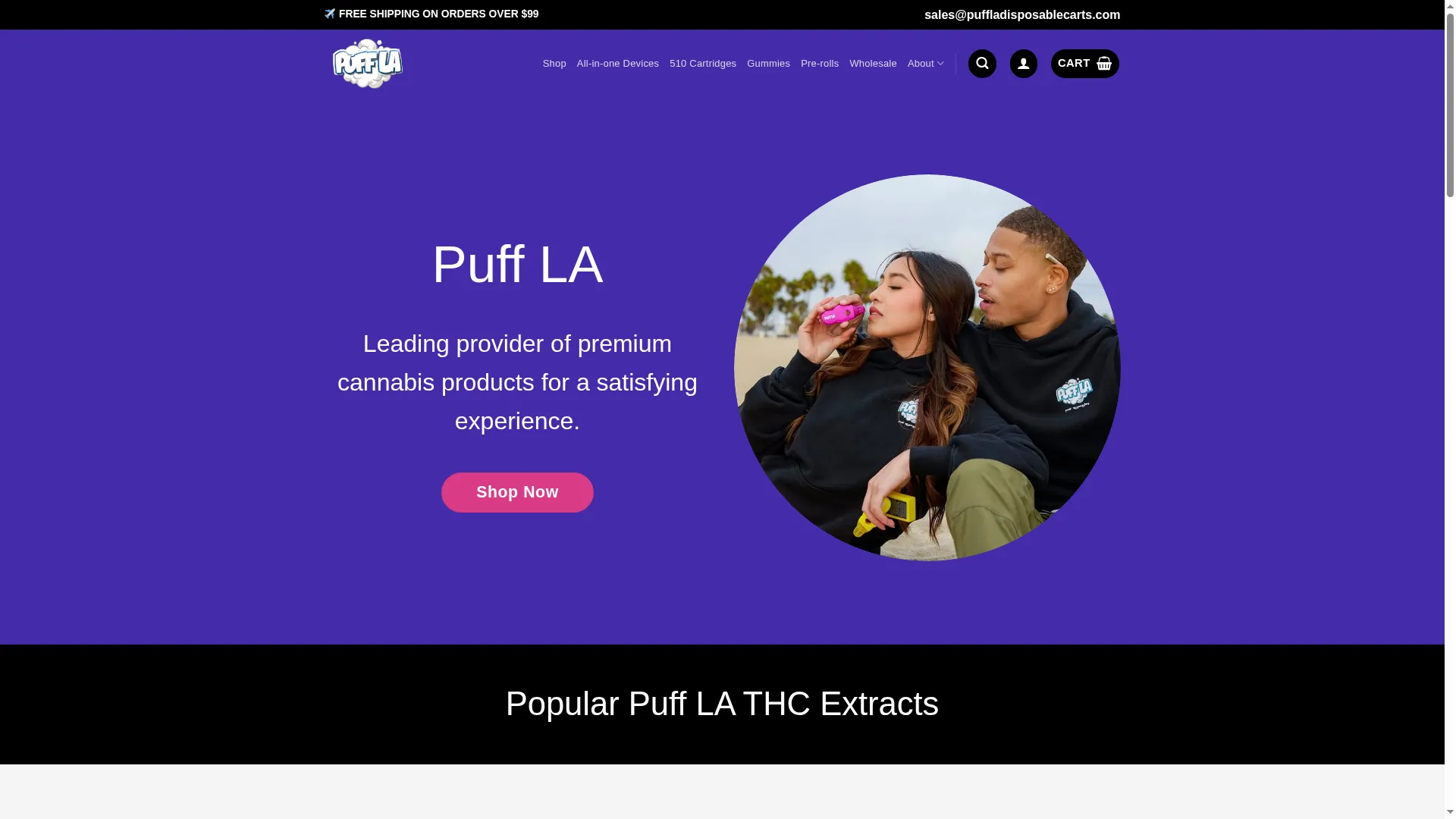 Puffladisposablecarts.com