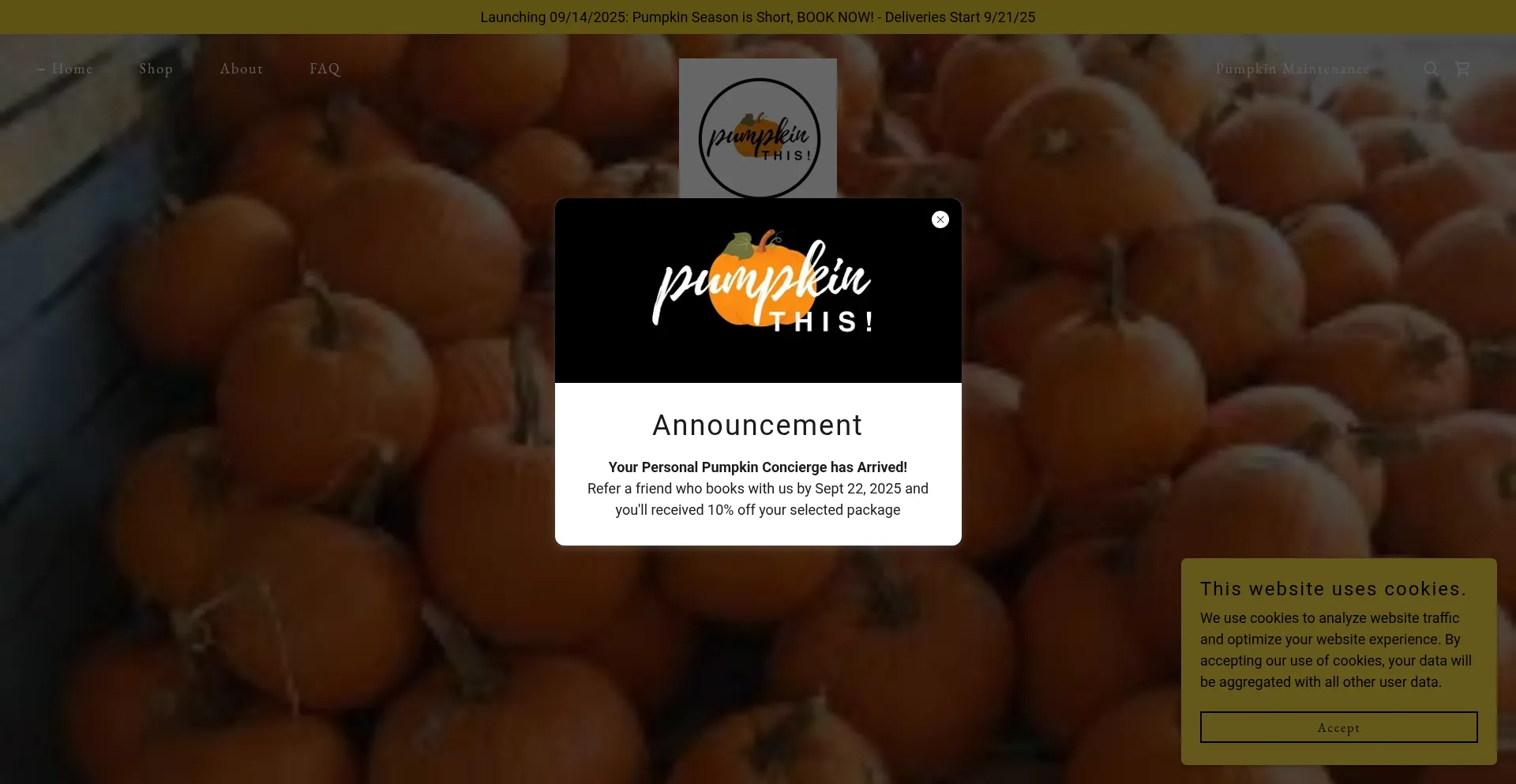 Ist Pumpkinthis.com sicher und vertrauenswürdig?