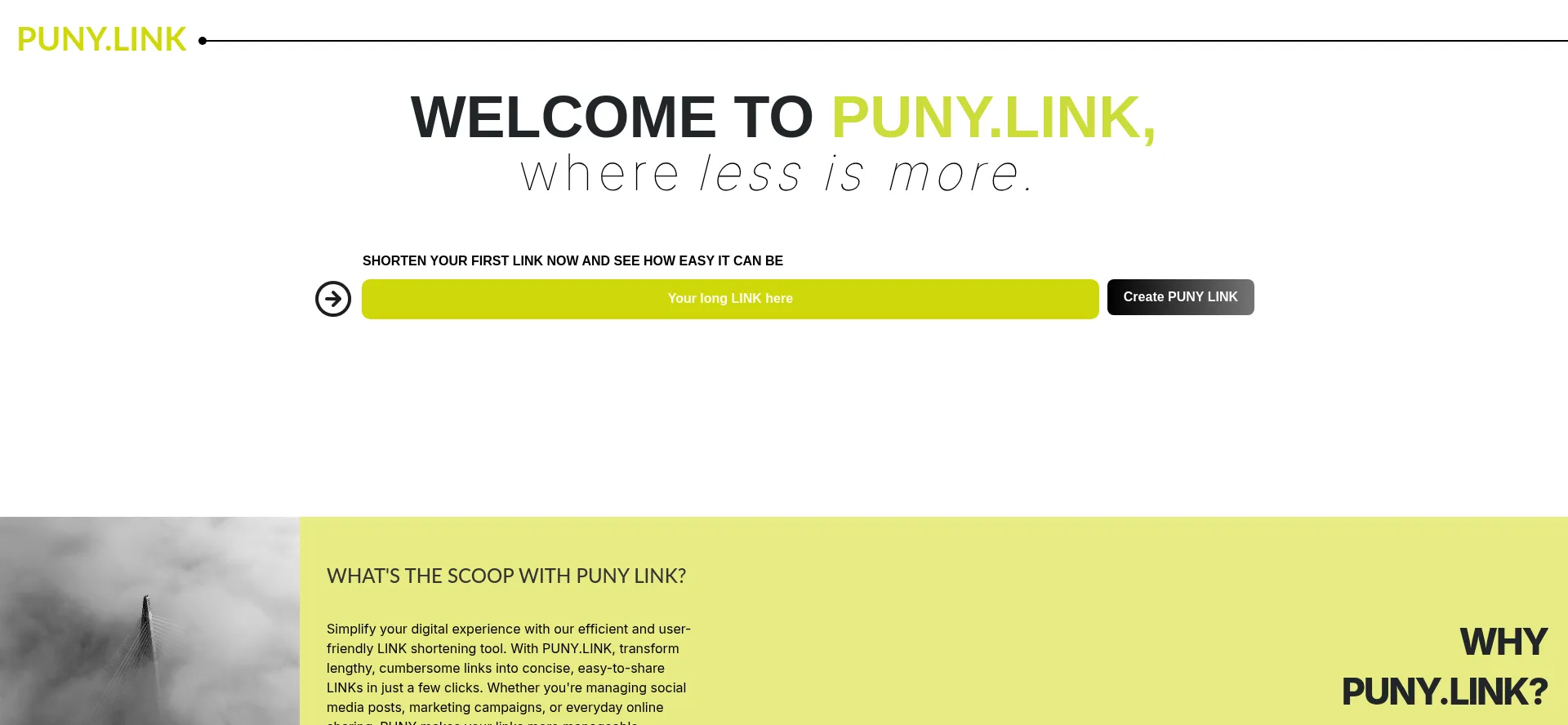 Puny.link