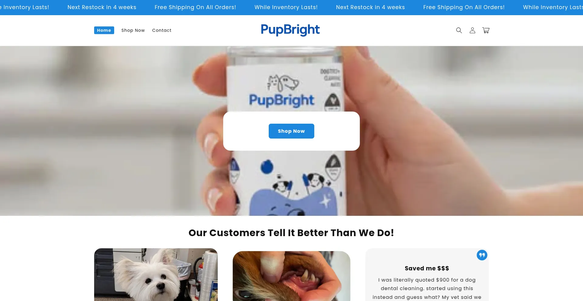 Ist Pupbright.com sicher und vertrauenswürdig?