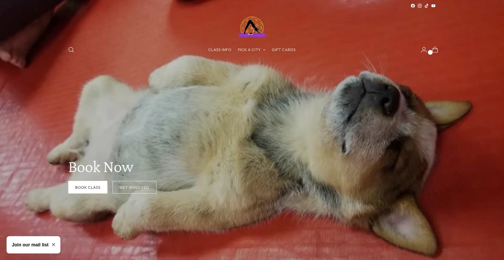 Puppyyoga.com