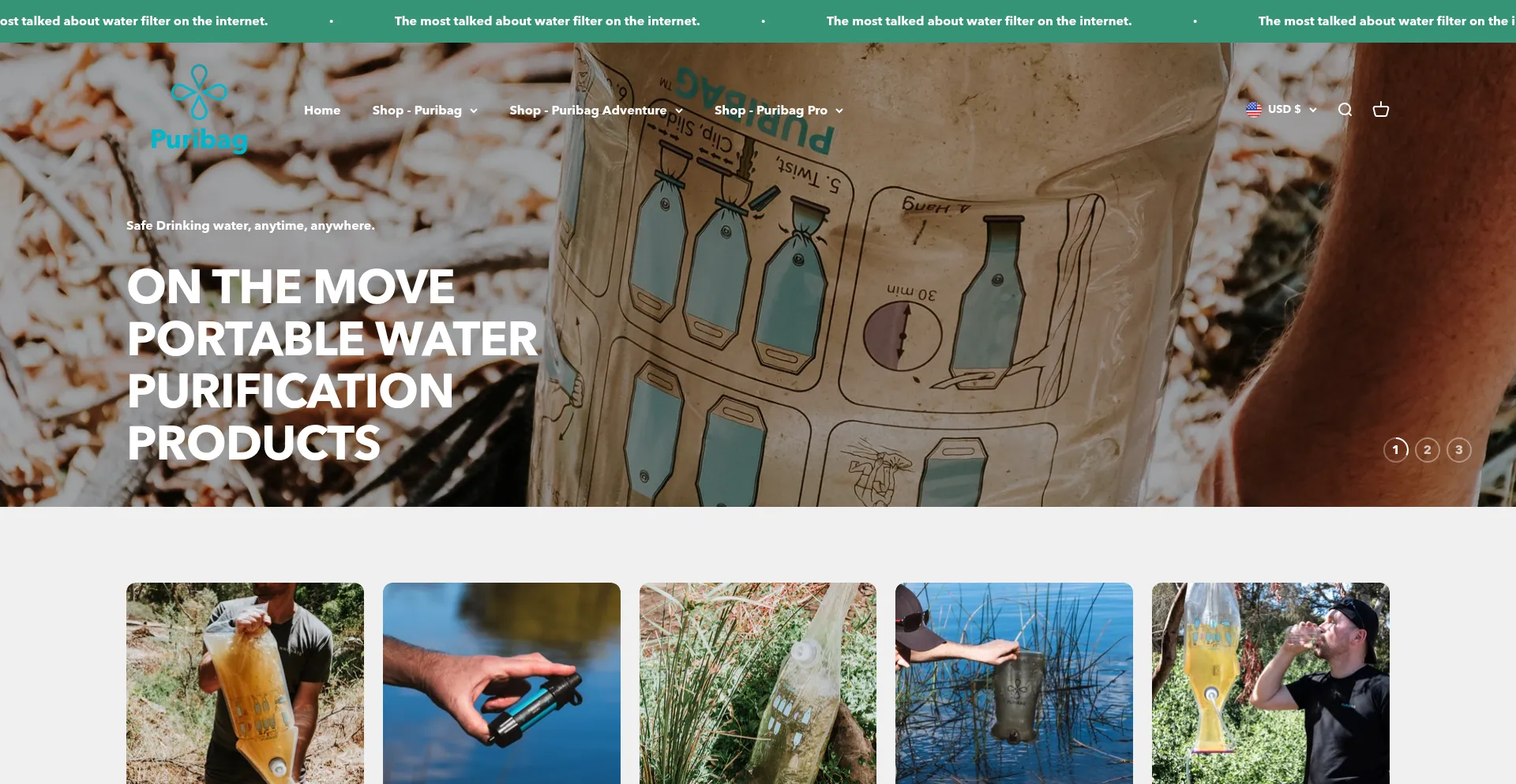 Website screenshot of Puribagwater.com