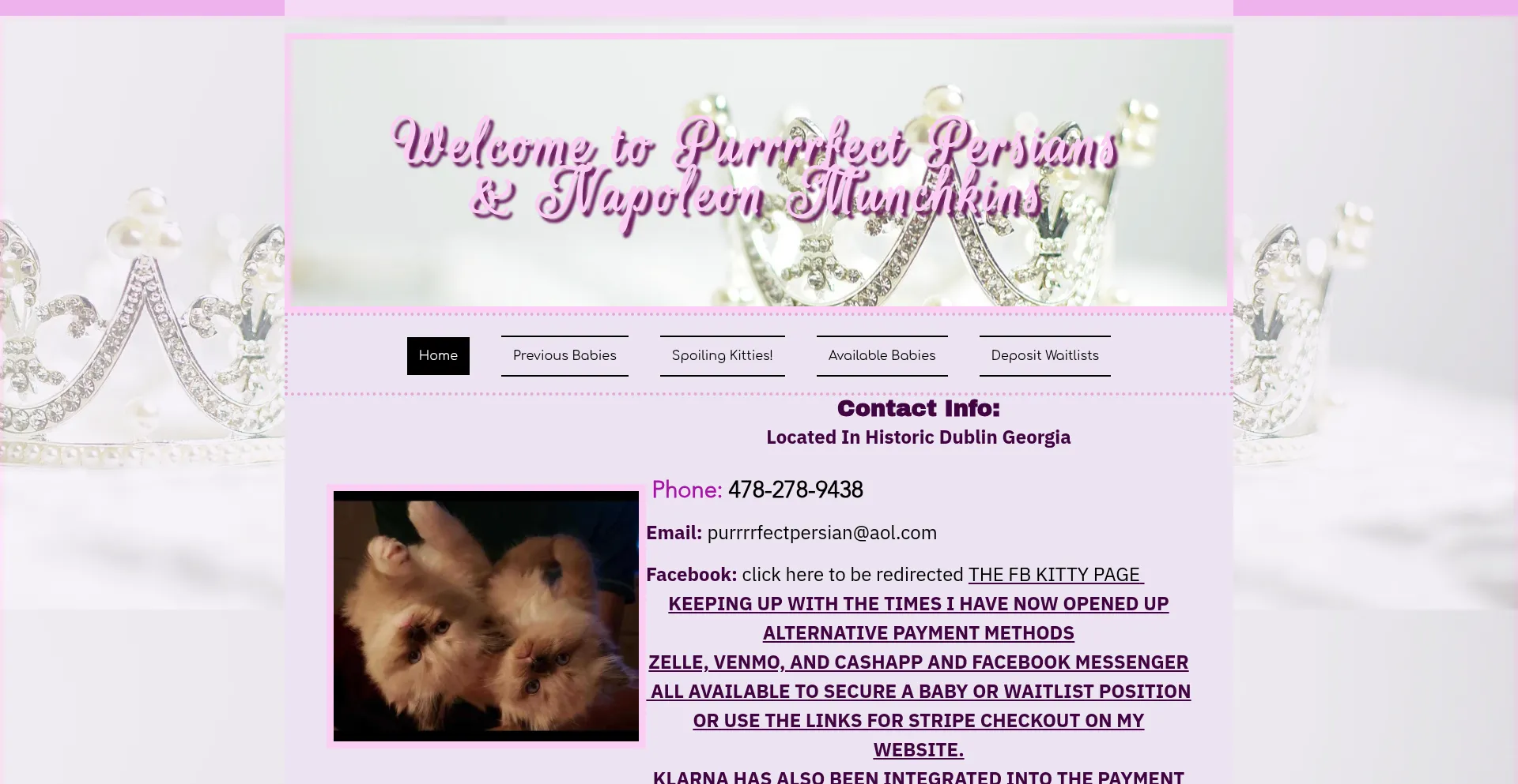 Purrrrfectpersians-napoleonmunchkins.com