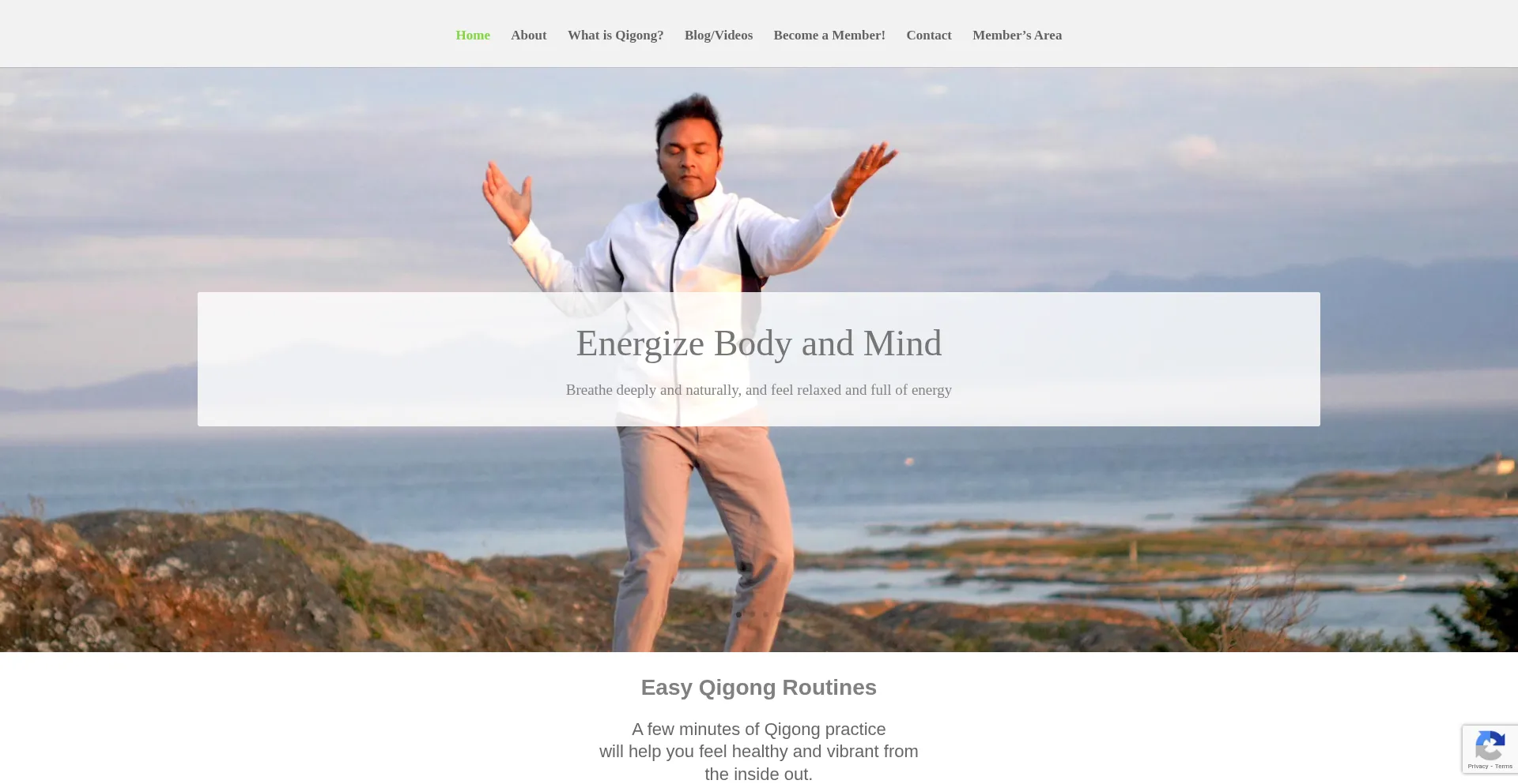 Qigongforvitality.com